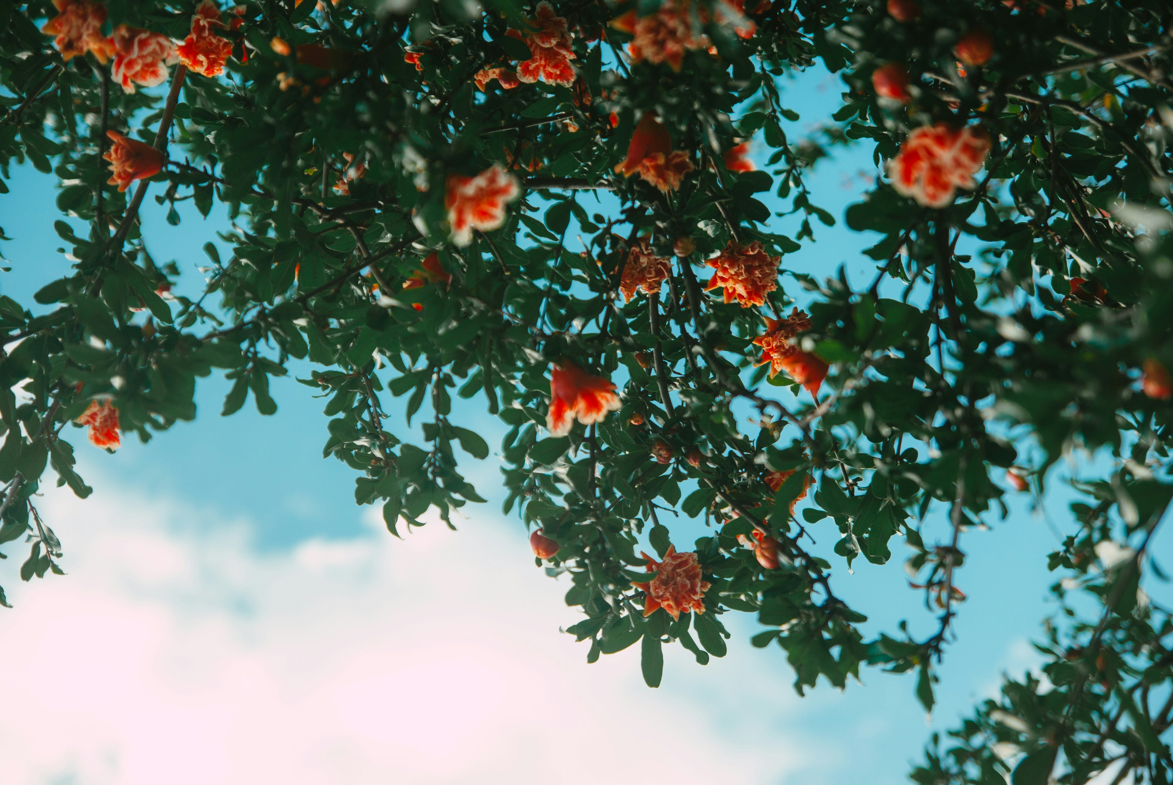 Photo by moonmoons_days