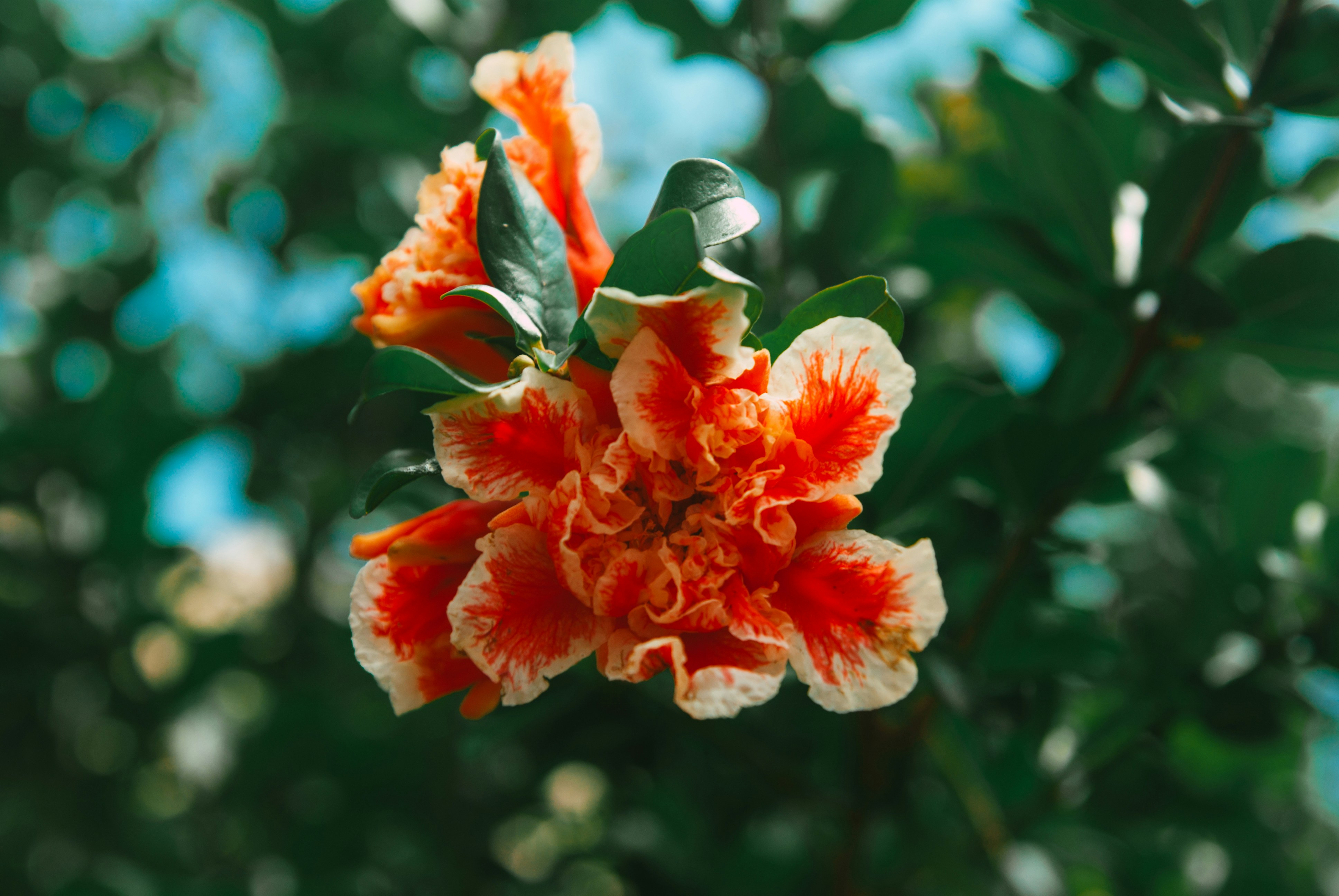 Photo by moonmoons_days