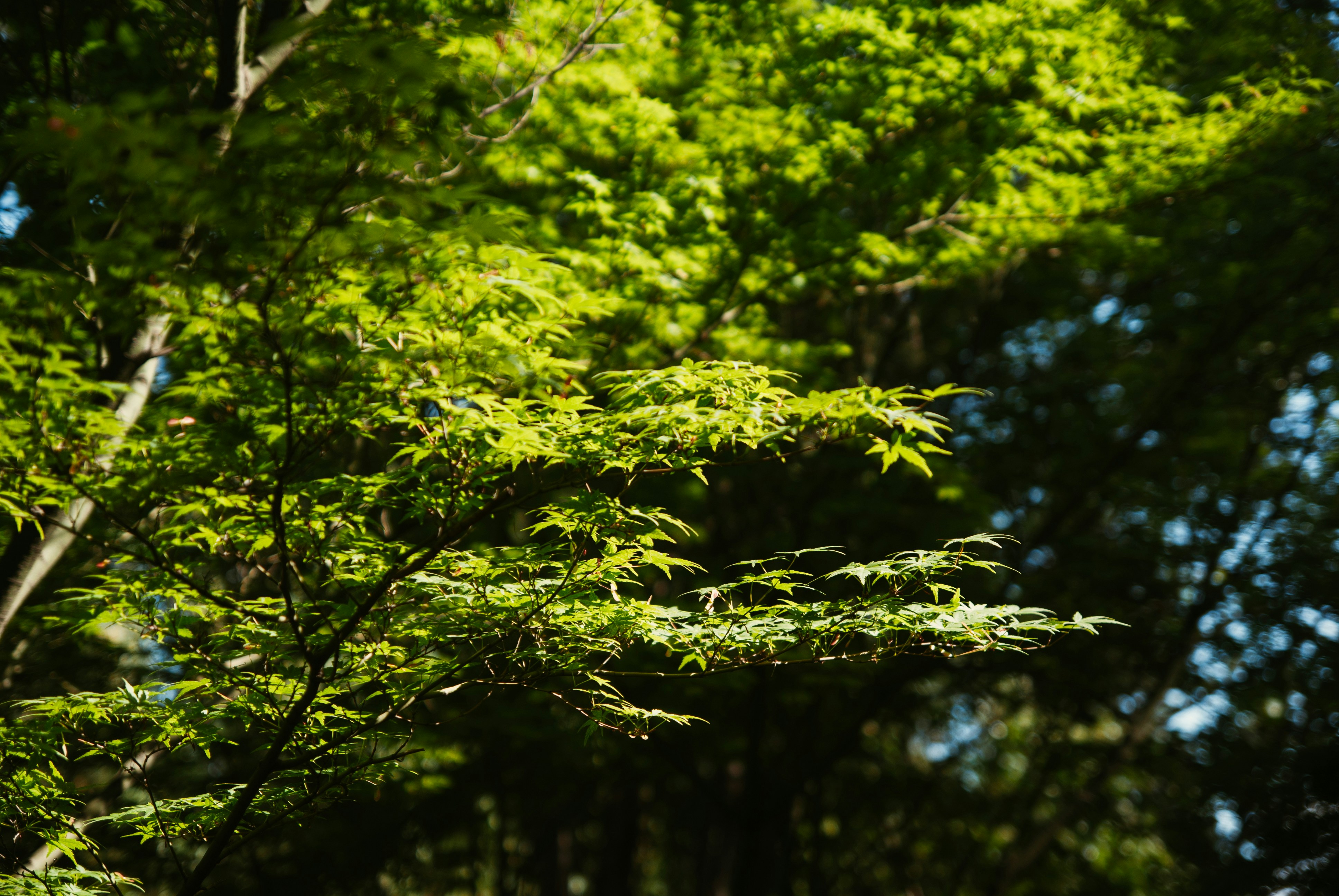 Photo by moonmoons_days