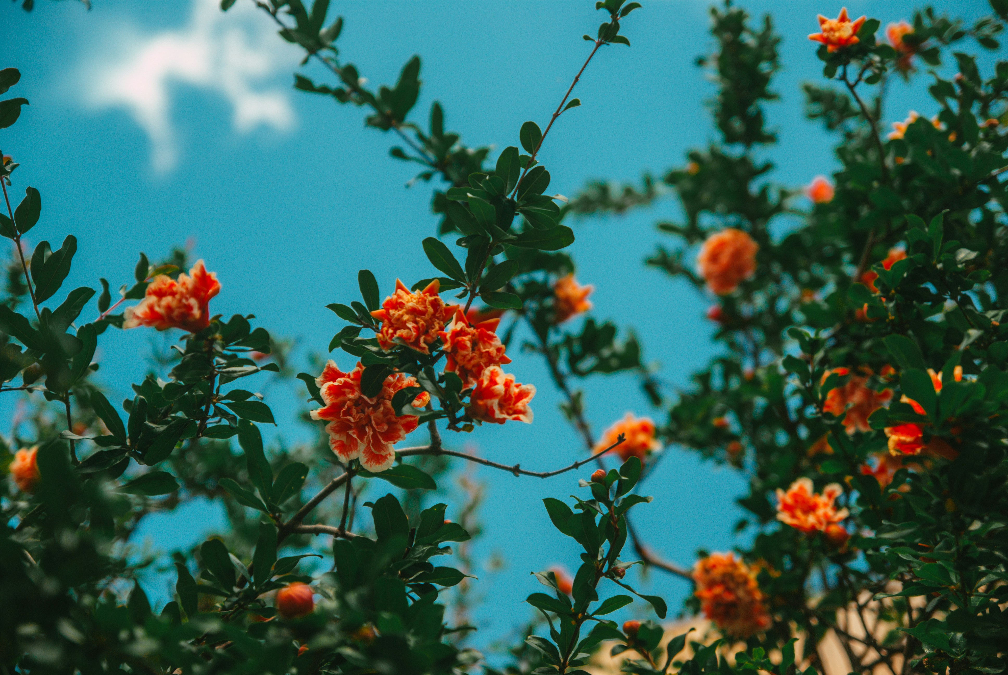 Photo by moonmoons_days