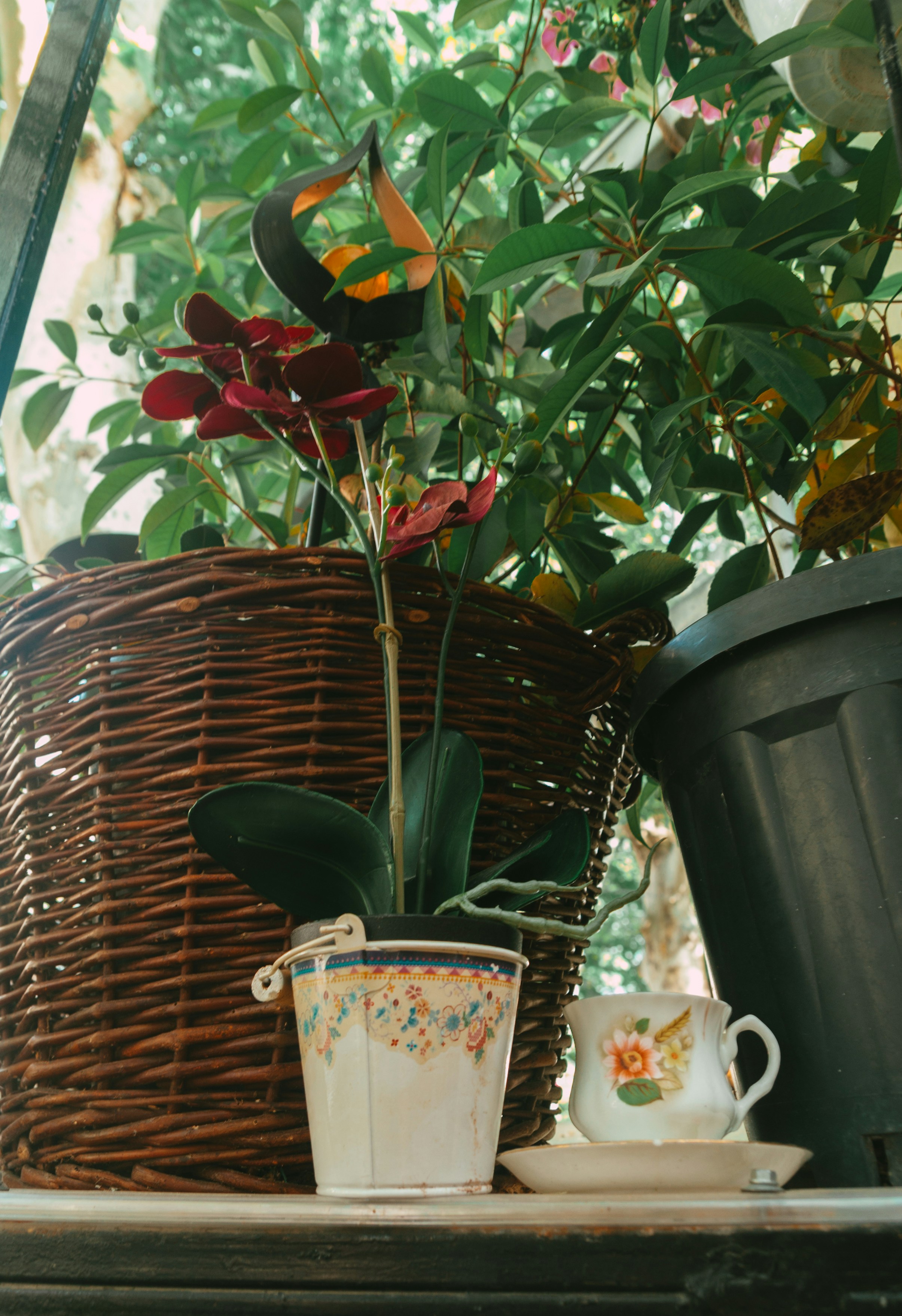 Photo by moonmoons_days