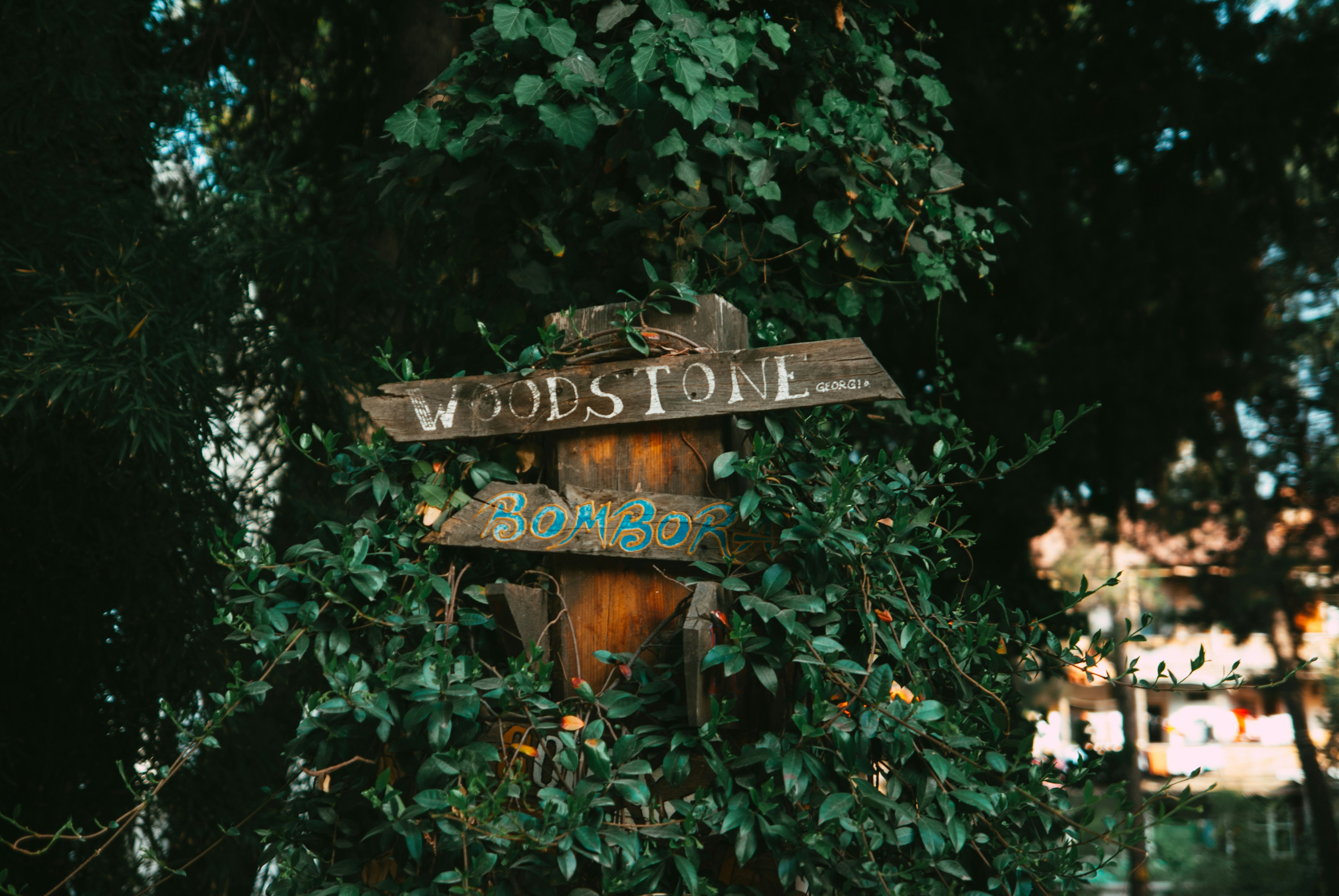 Woodforde, South Australia