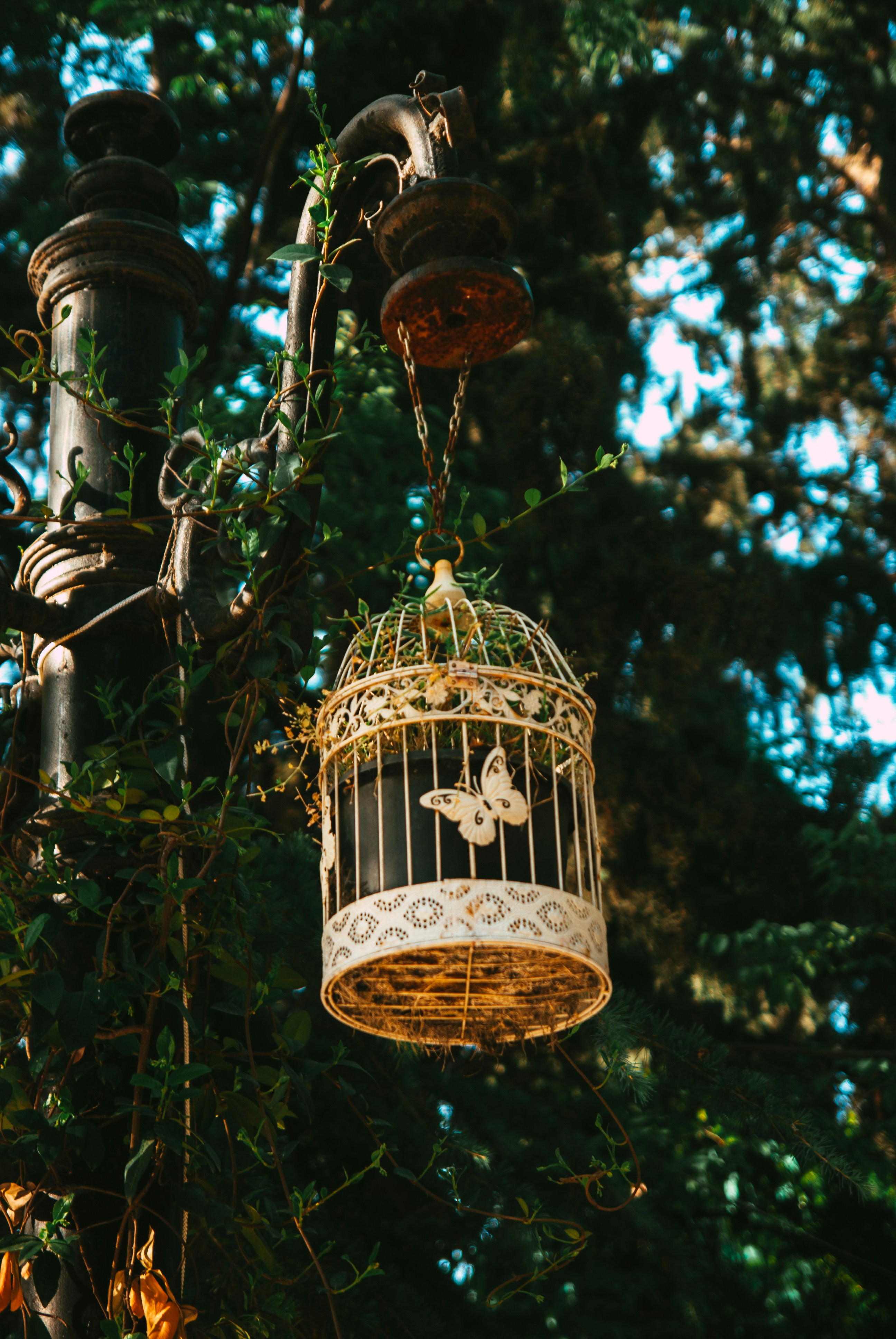 Photo by moonmoons_days