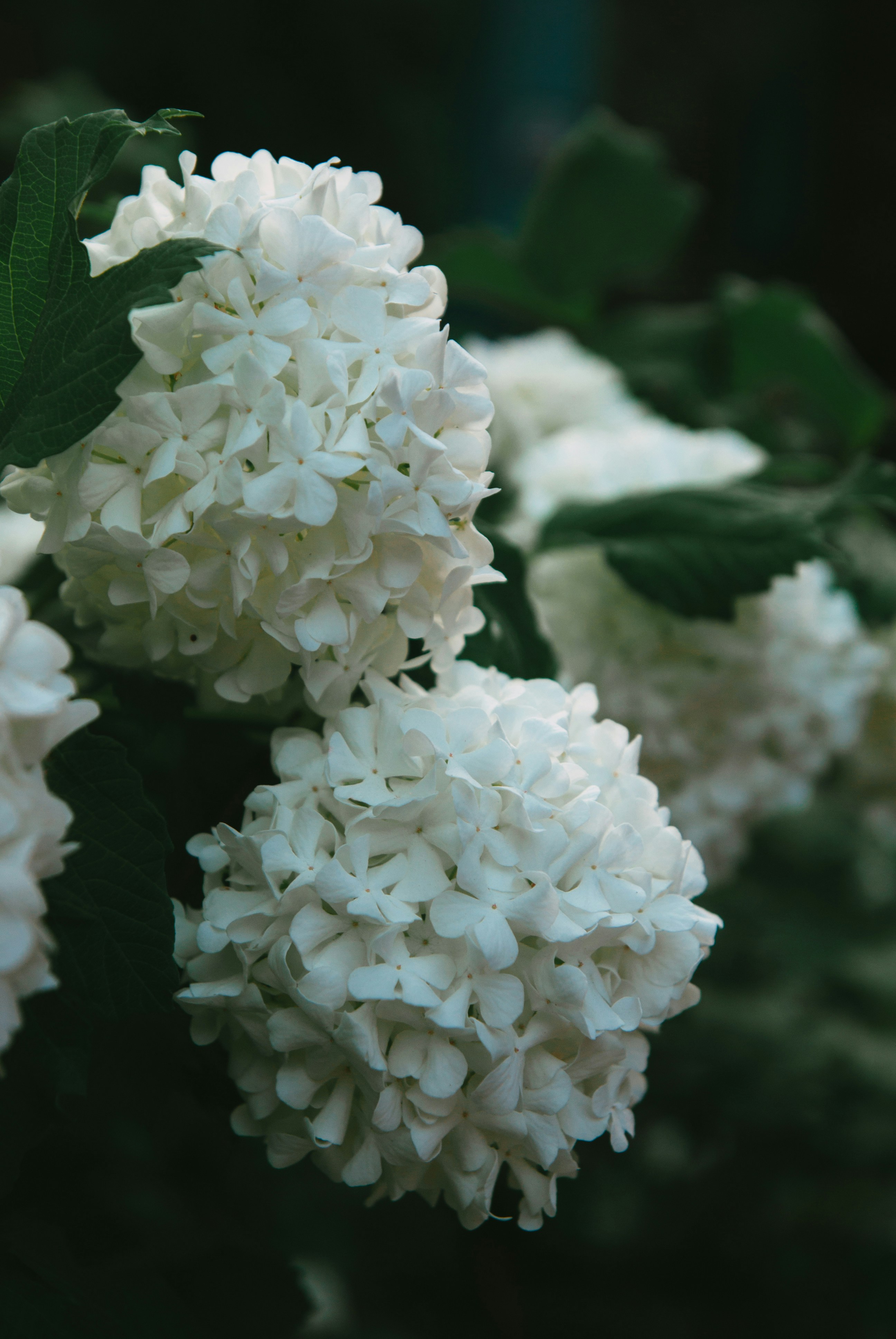 Photo by moonmoons_days