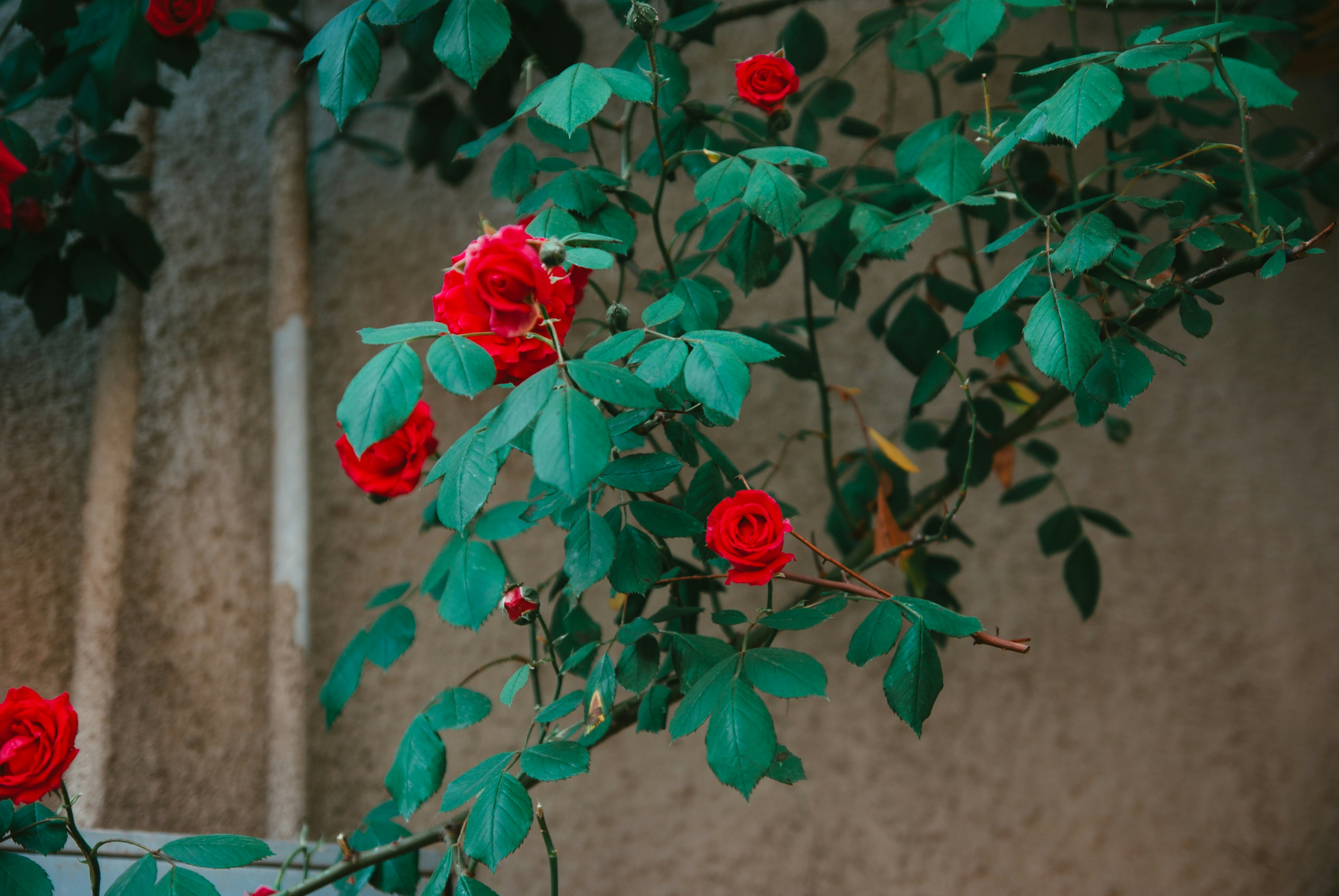 Photo by moonmoons_days