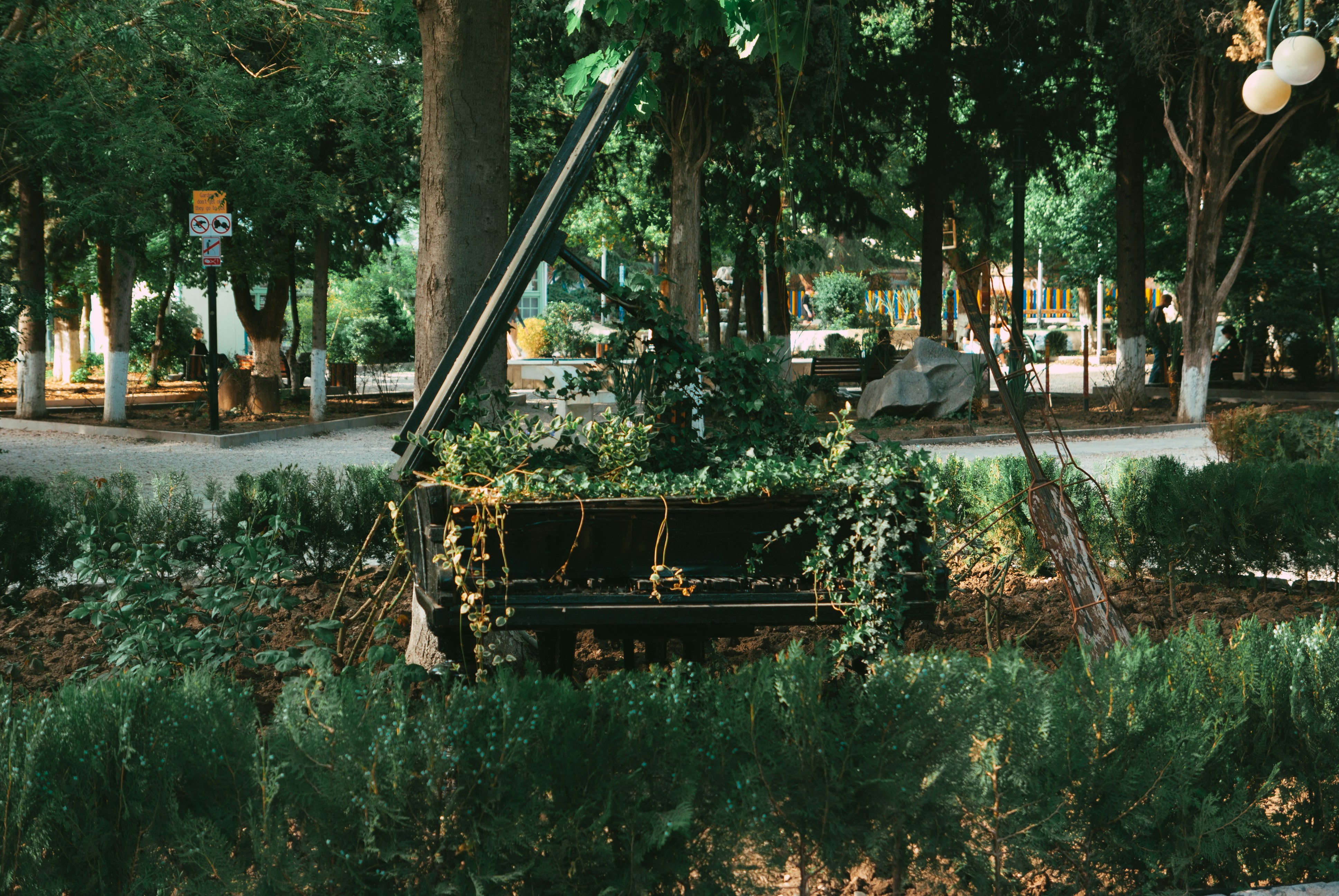 Photo by moonmoons_days