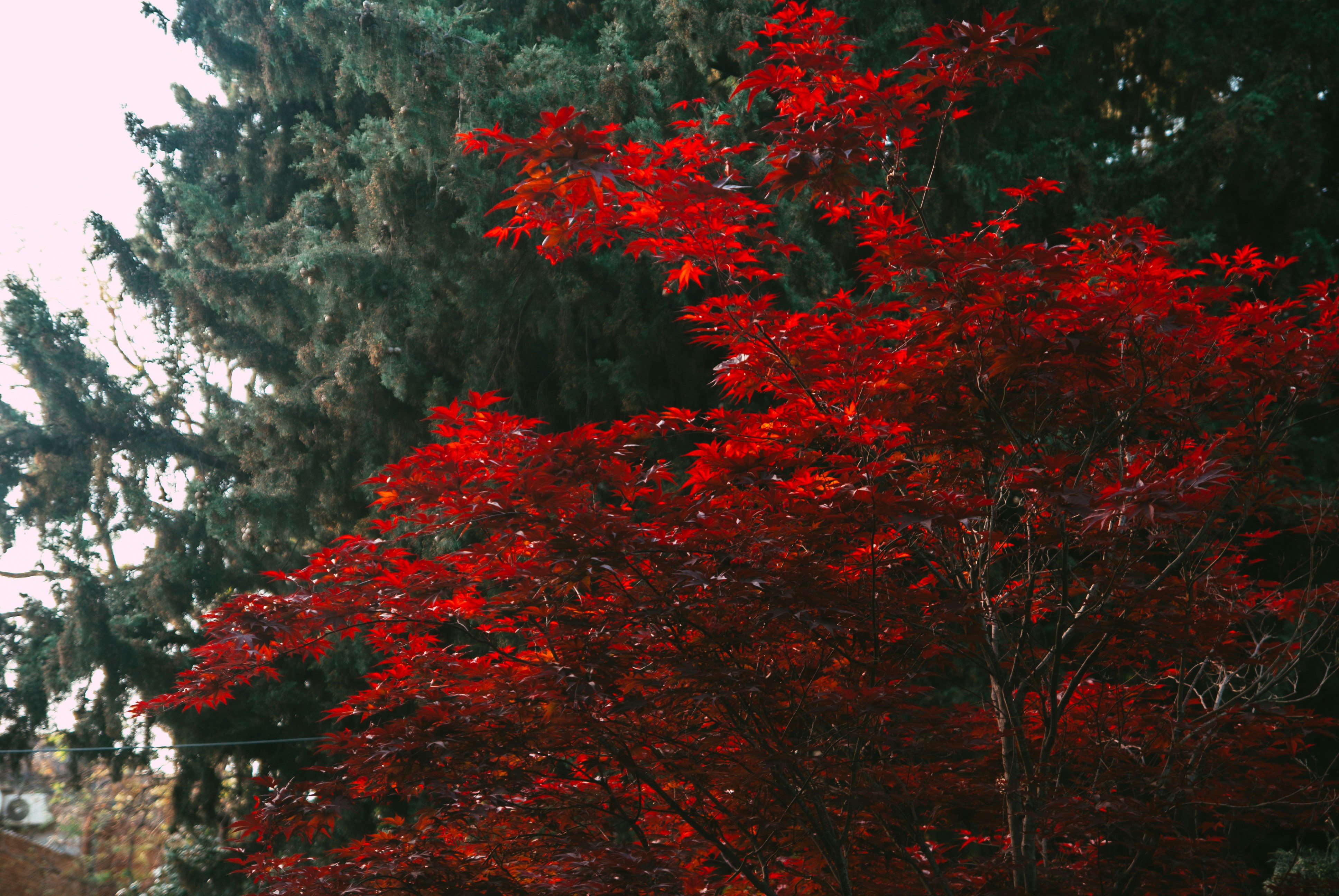 Photo by moonmoons_days