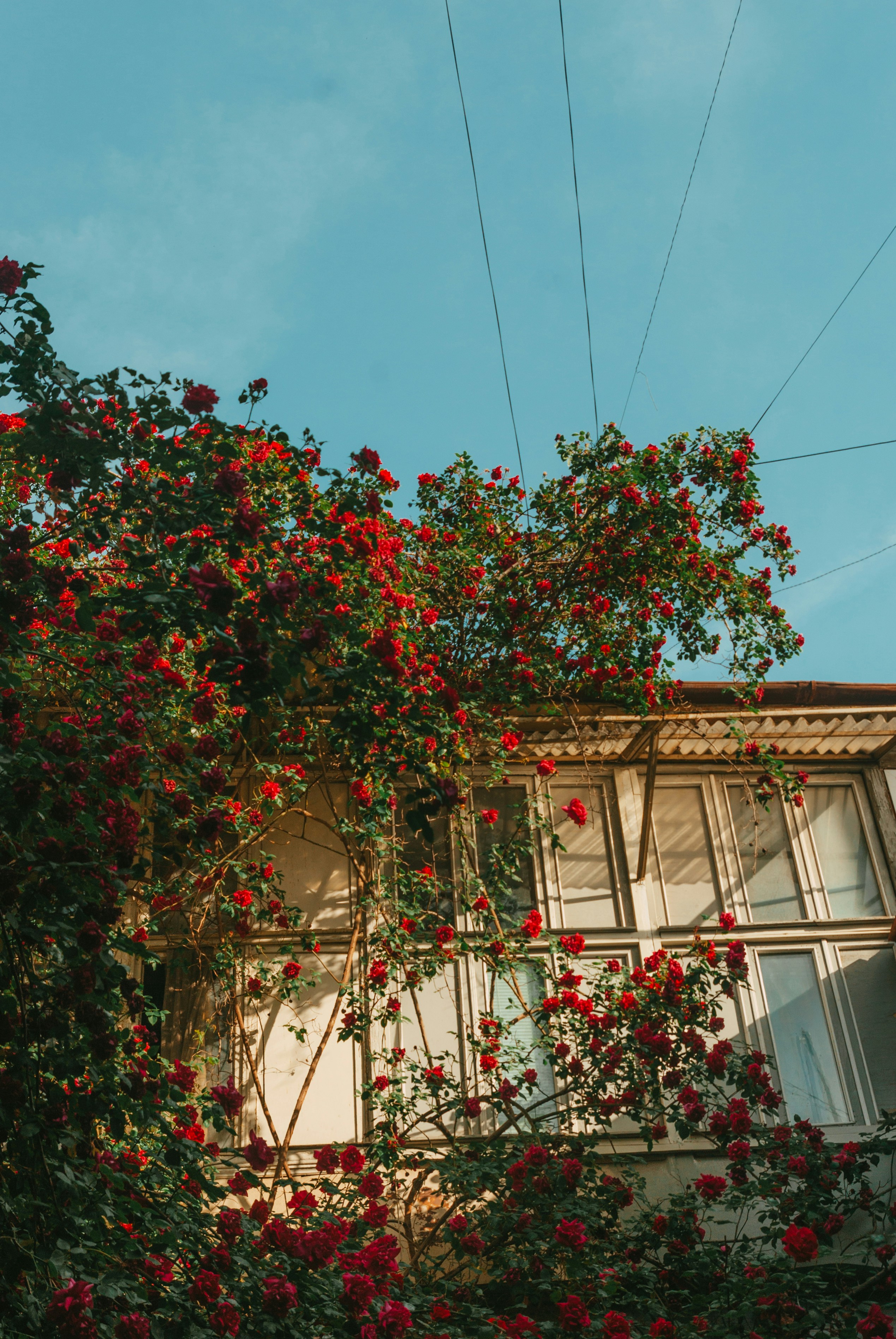 Photo by moonmoons_days