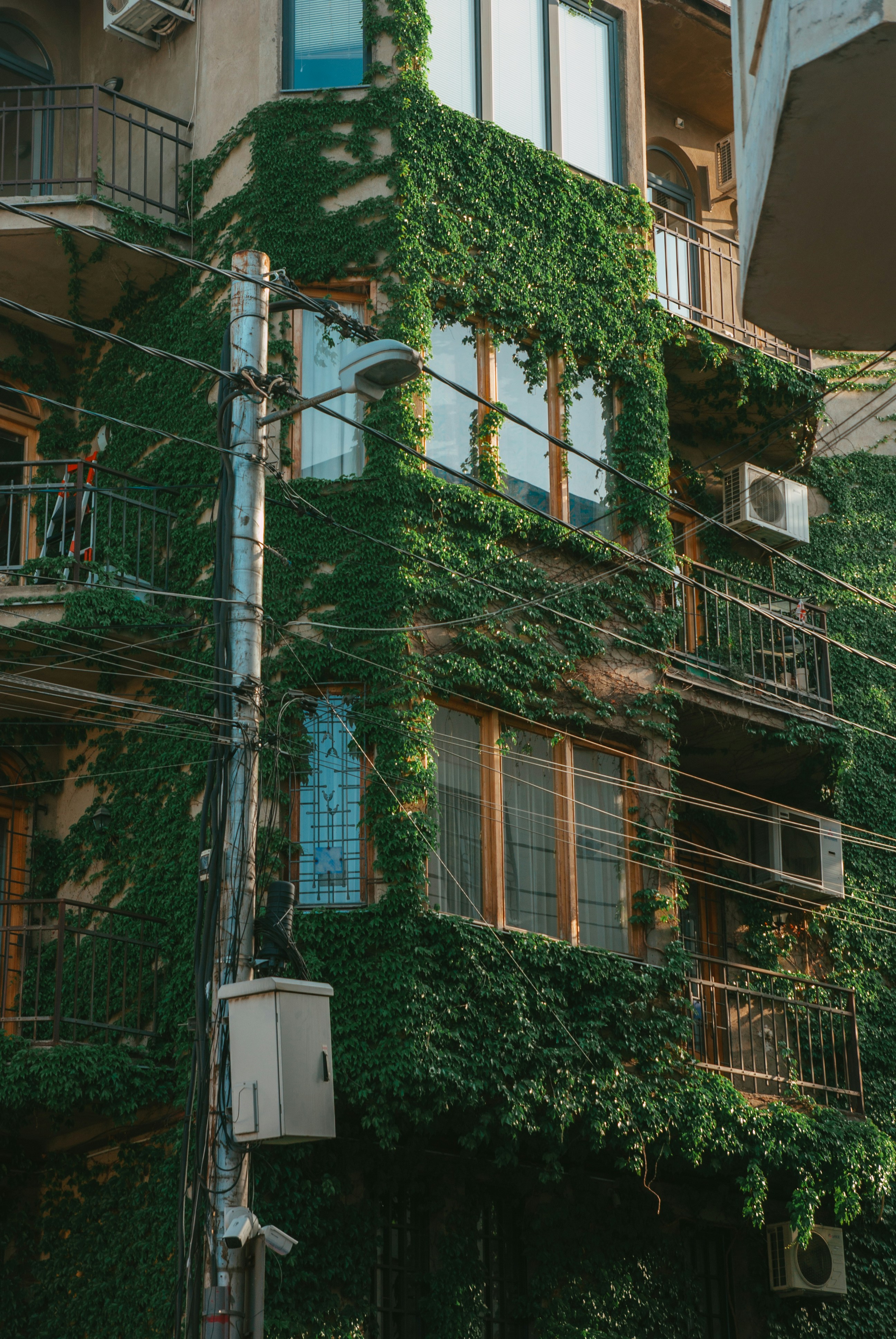 Photo by moonmoons_days