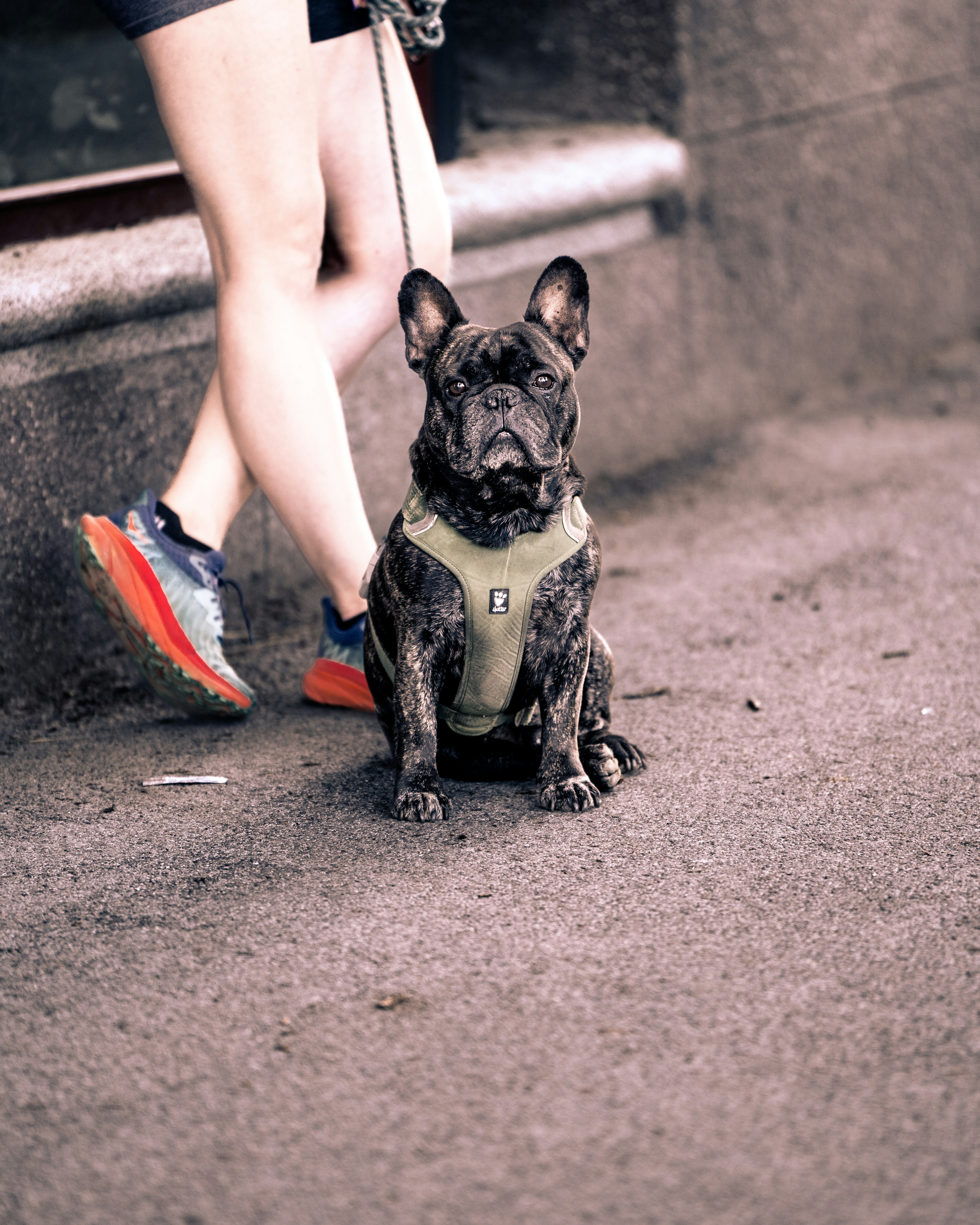 Photo by eduartography