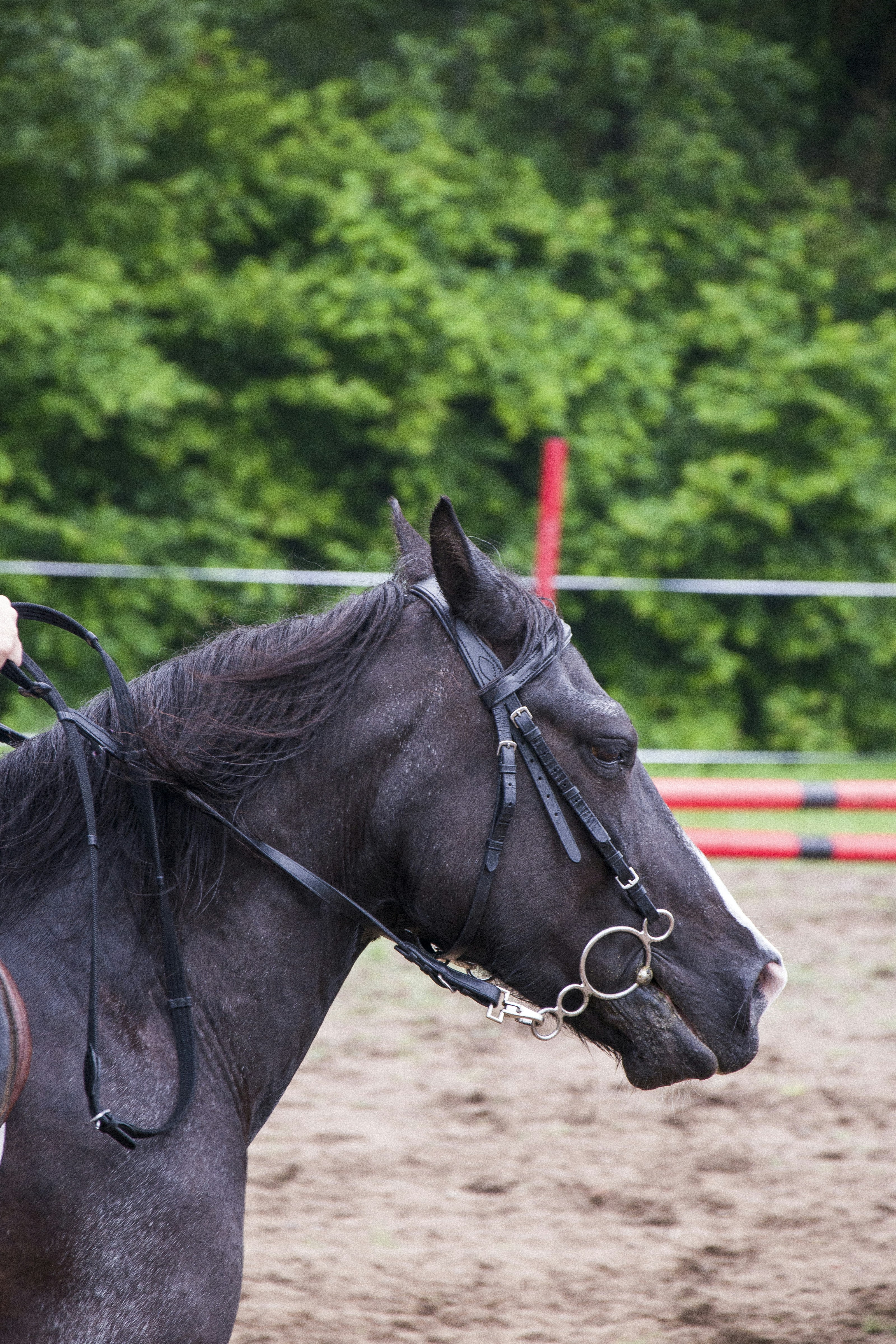 Photo by iamfrancismorgan