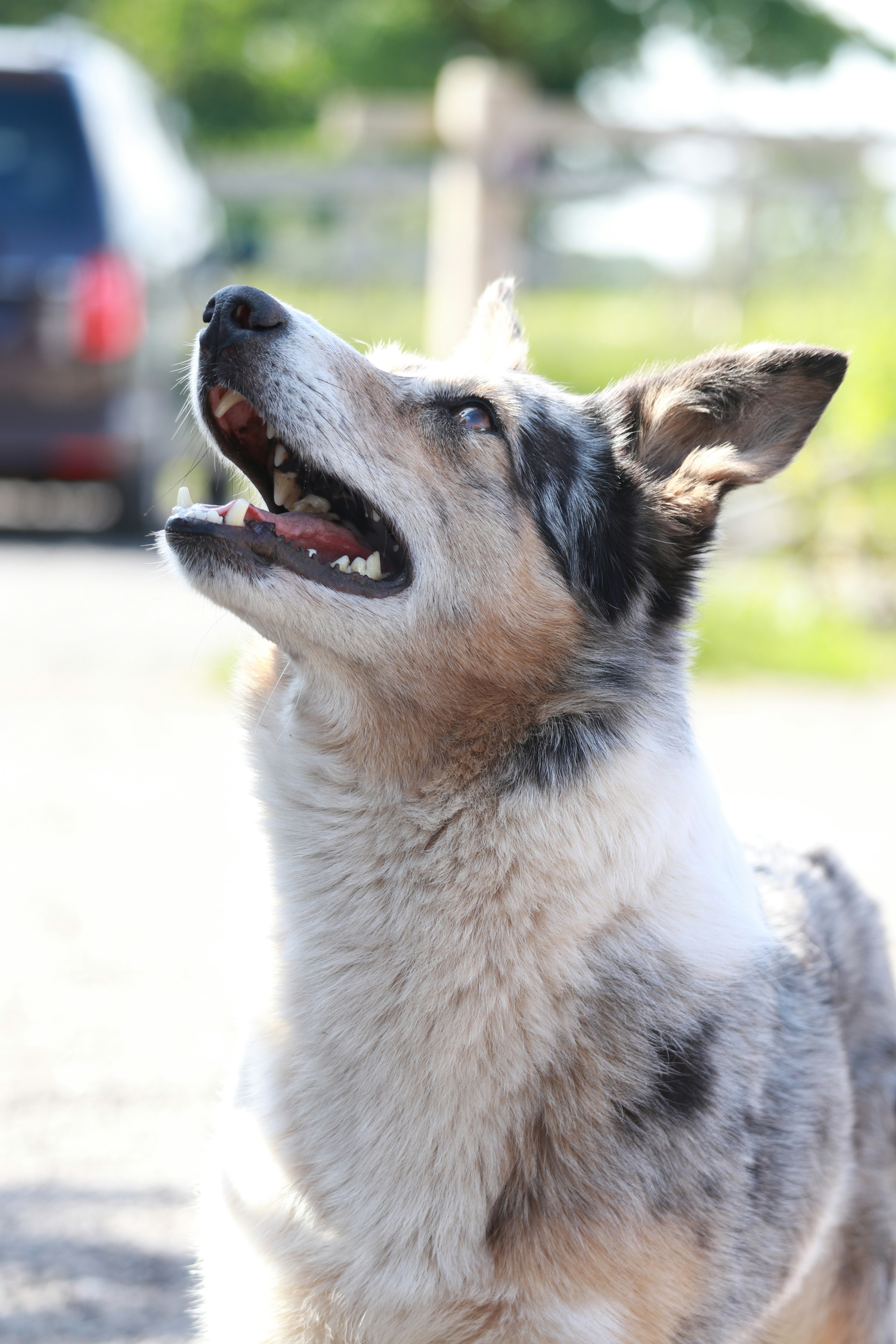 Photo by dhruv_padaliya