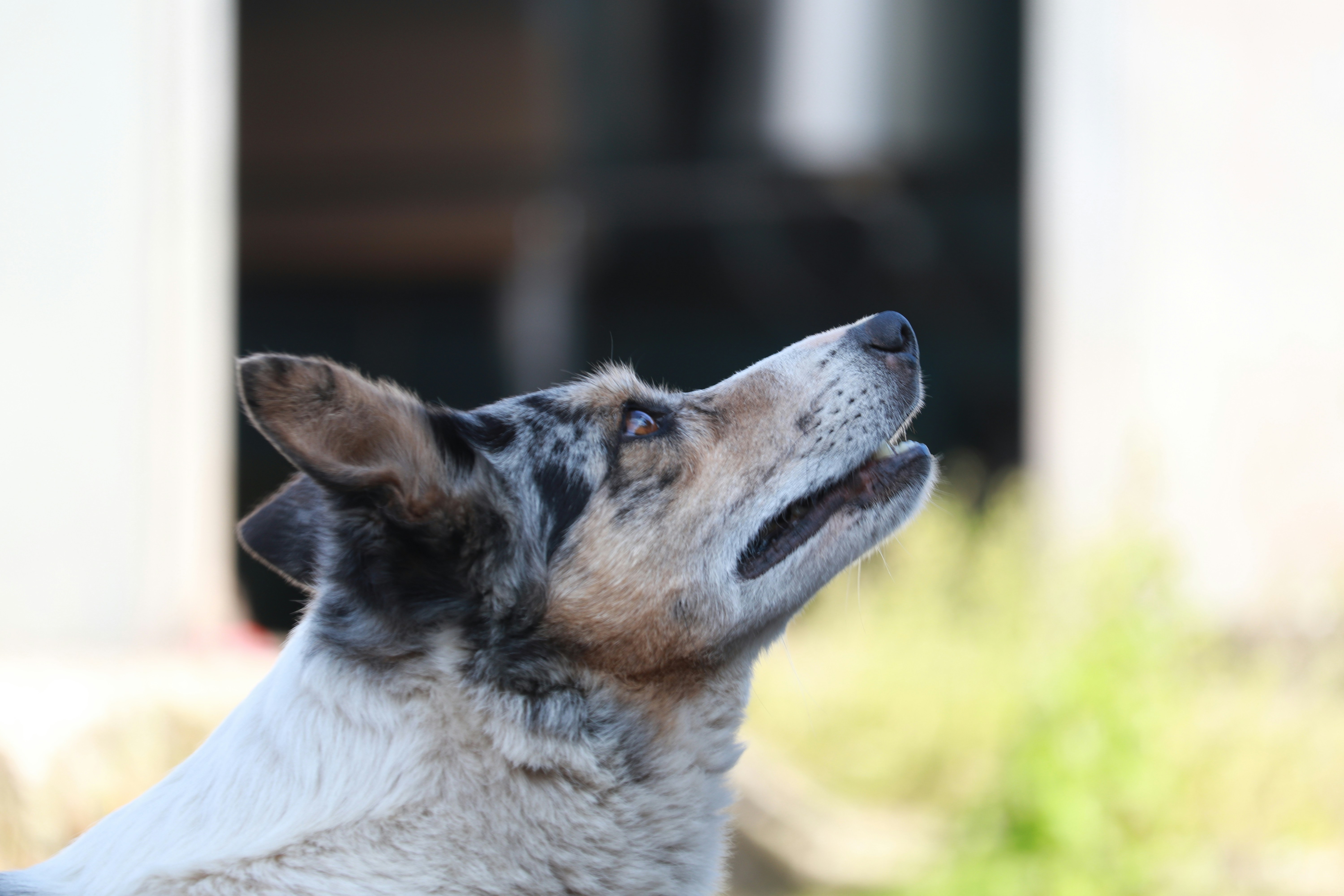 Photo by dhruv_padaliya