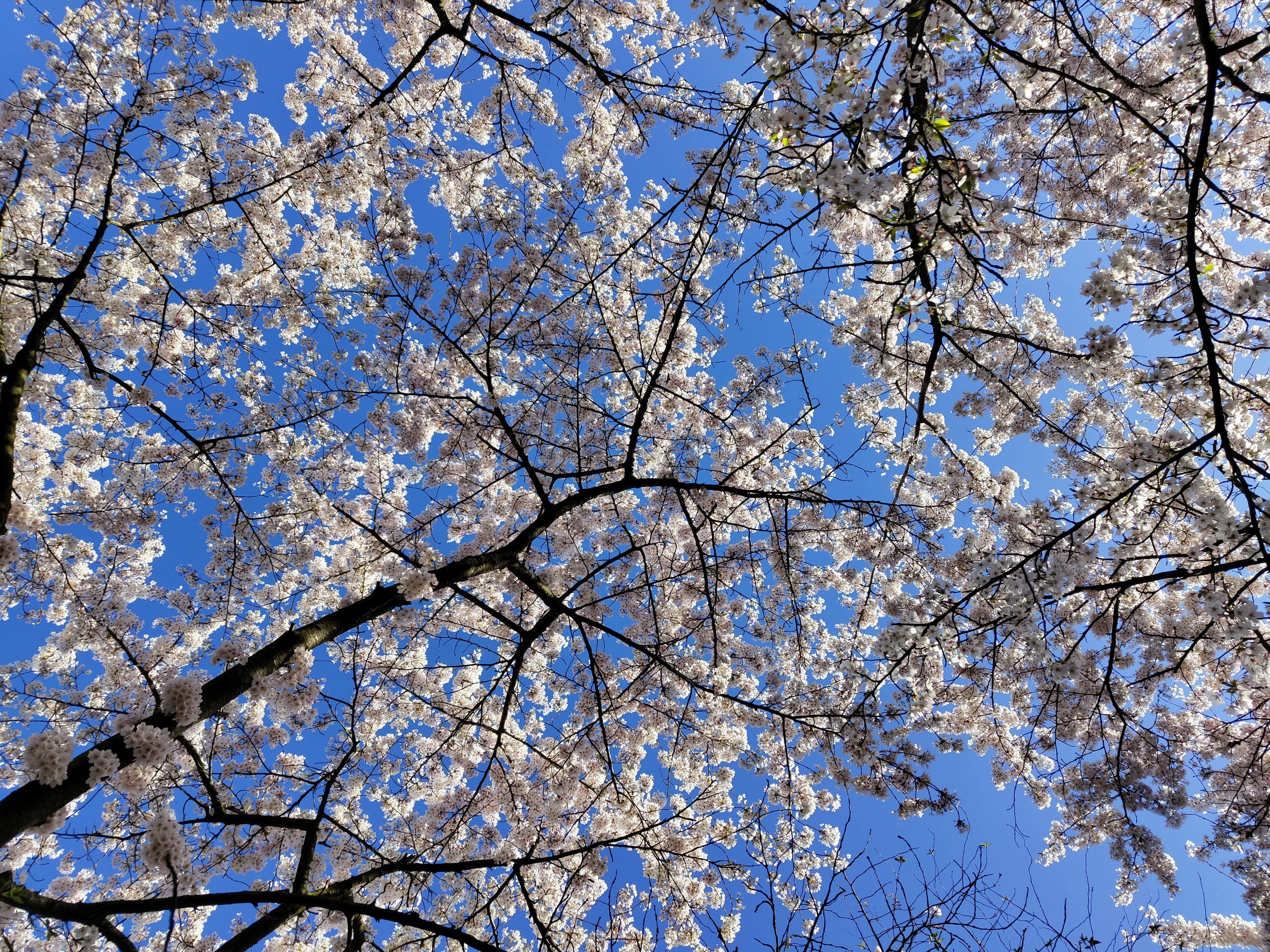 Photo by blurrryyyface