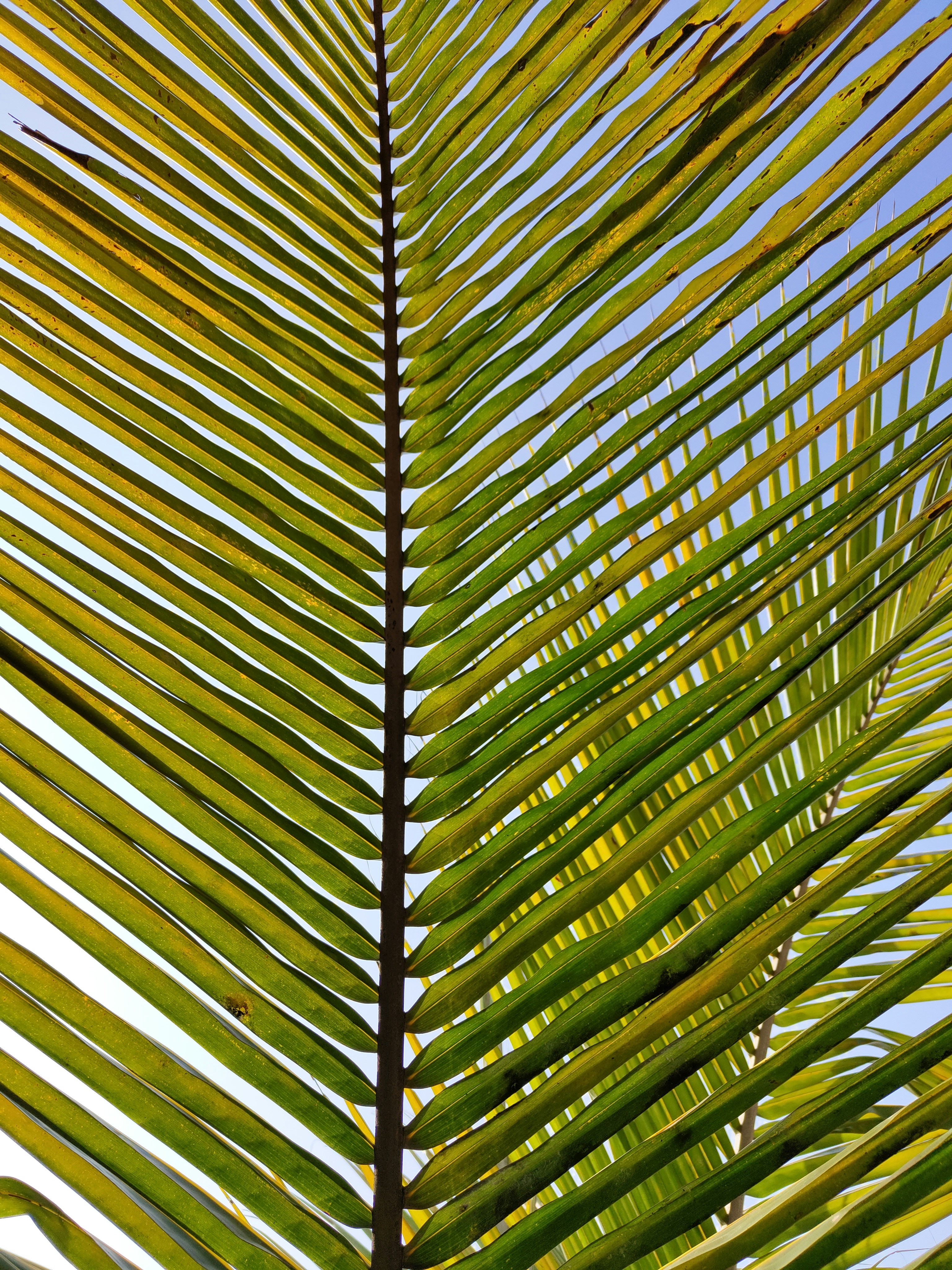 Photo by blurrryyyface