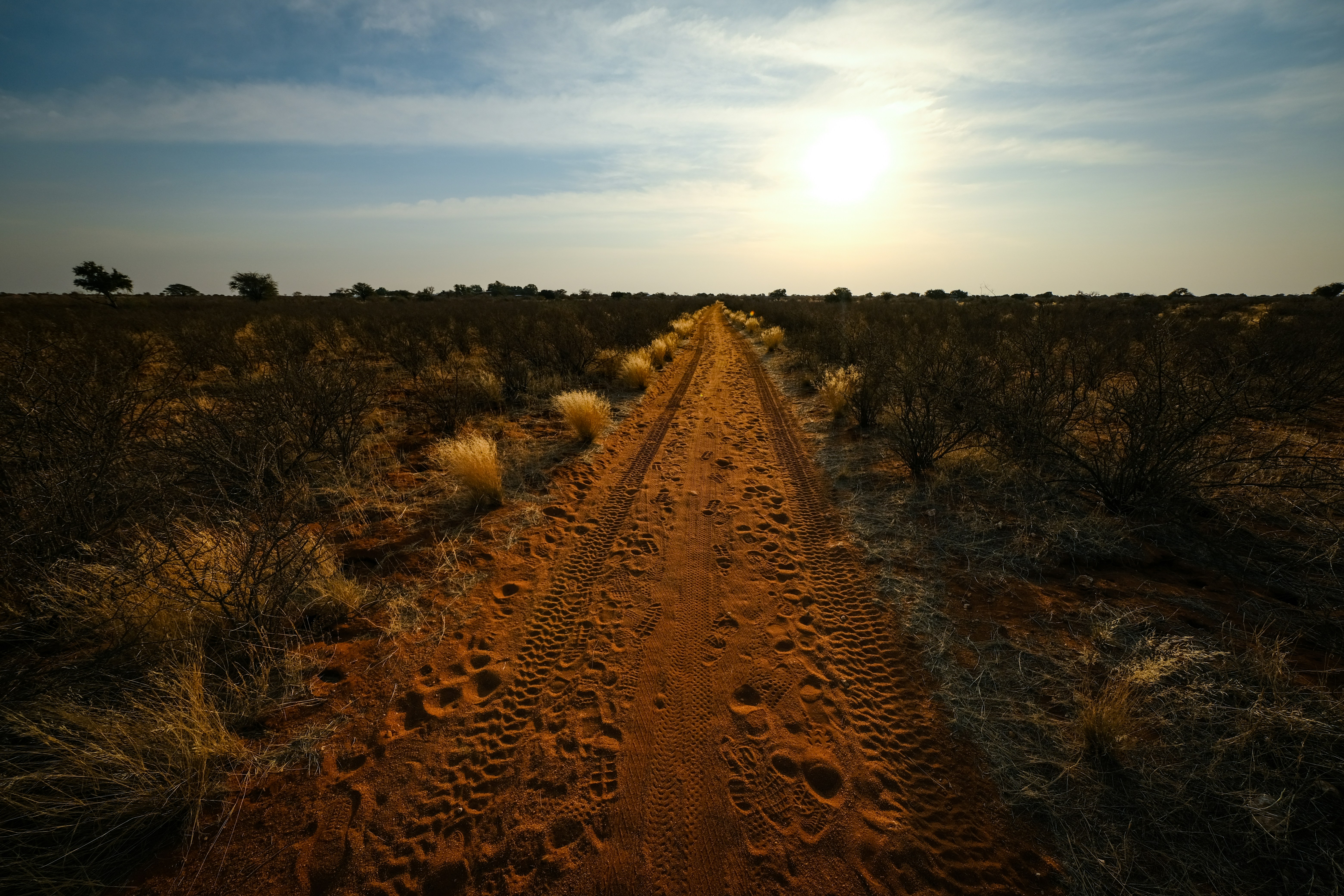 Photo by francesco_ungaro