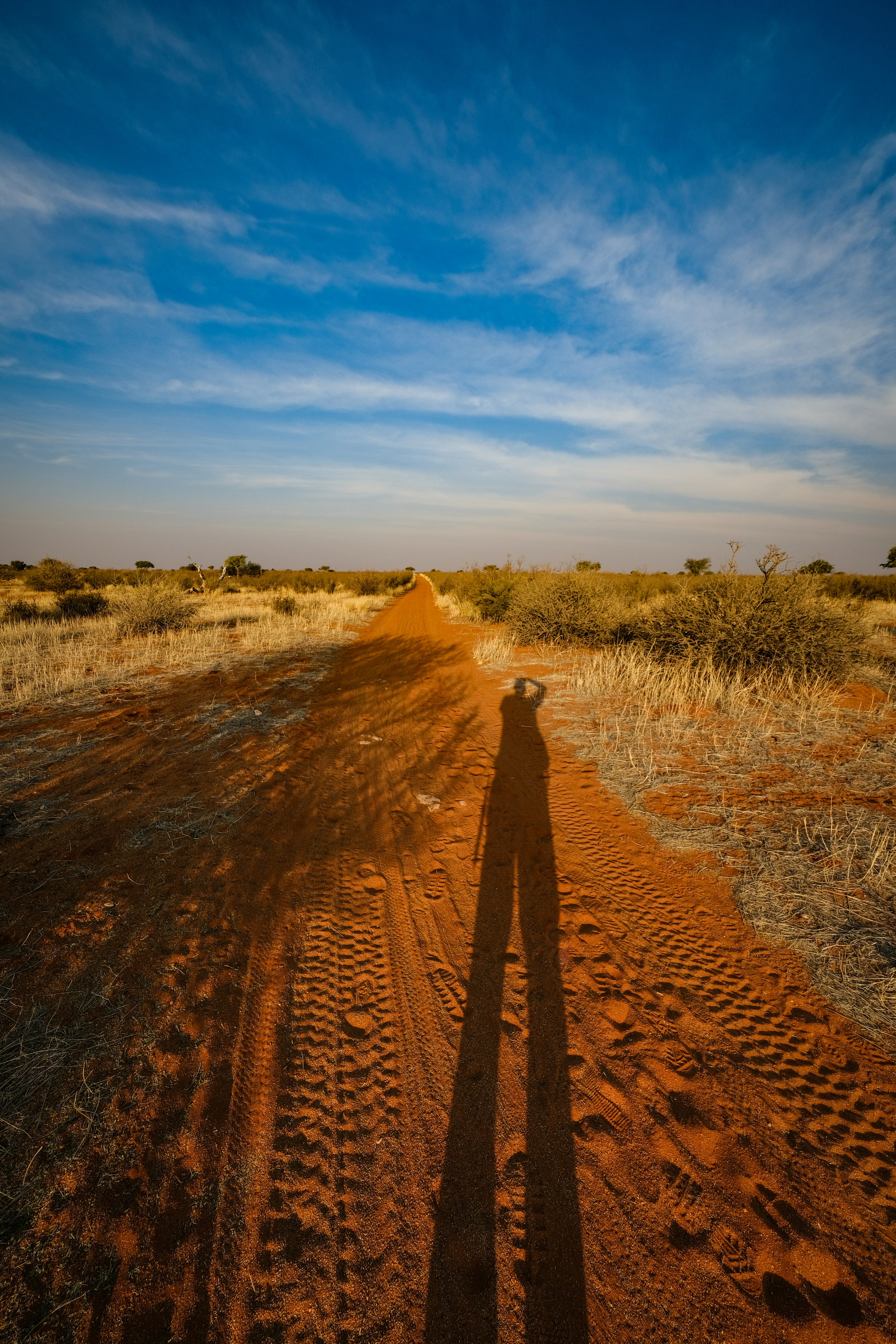 Photo by francesco_ungaro