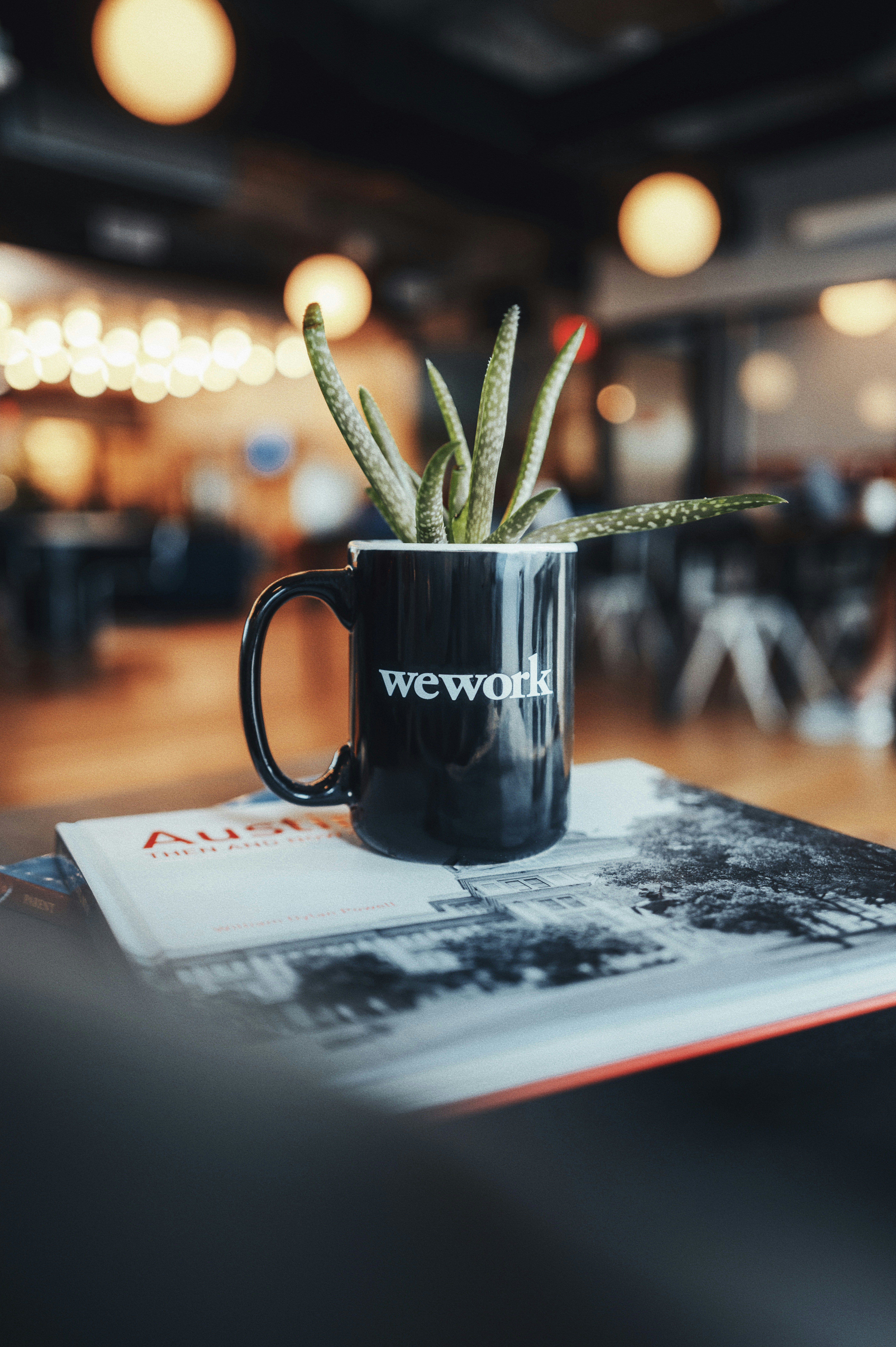 a black coffee mug with a succulent plant in it