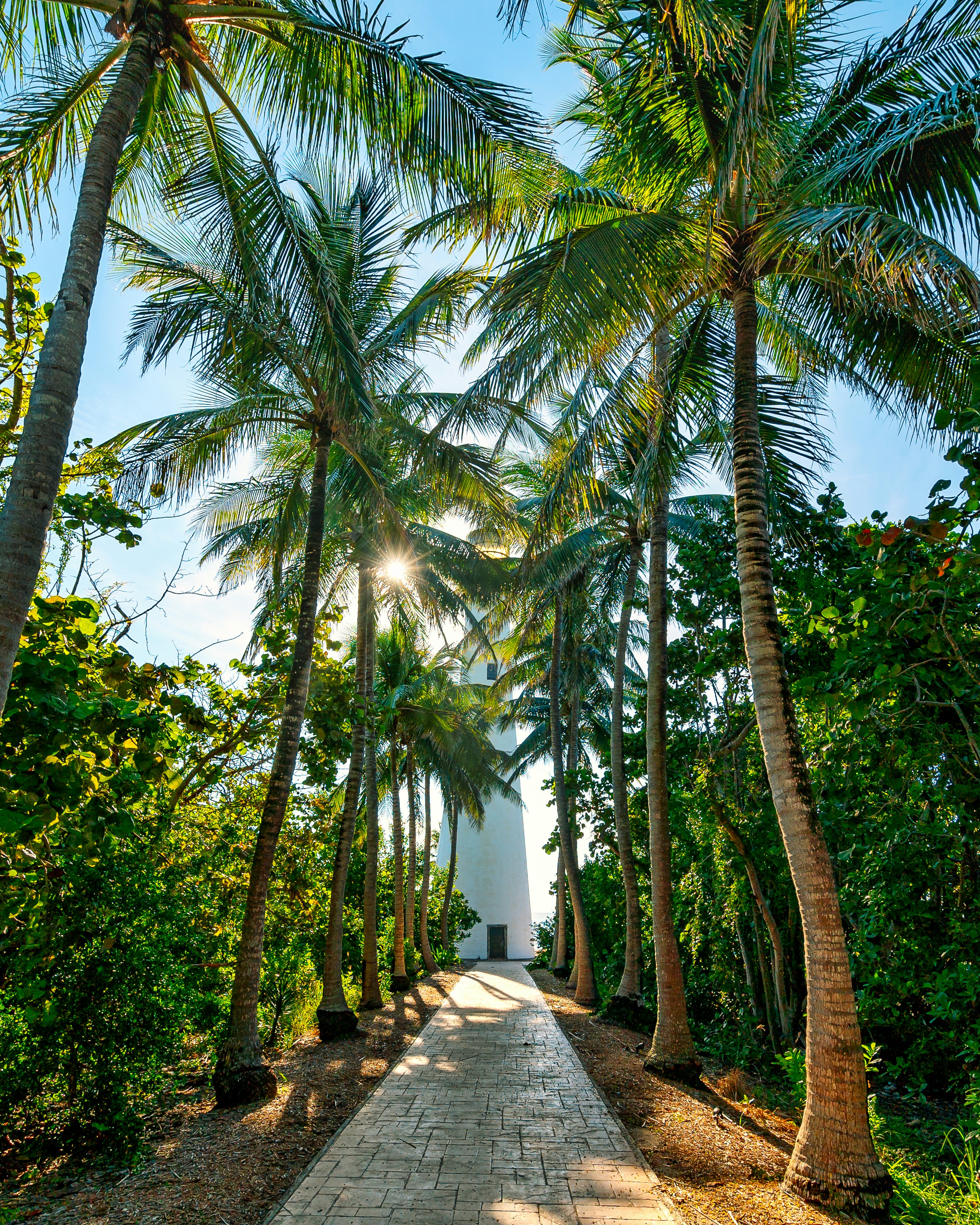 a path leading to a lighthouse surrounded by palm trees