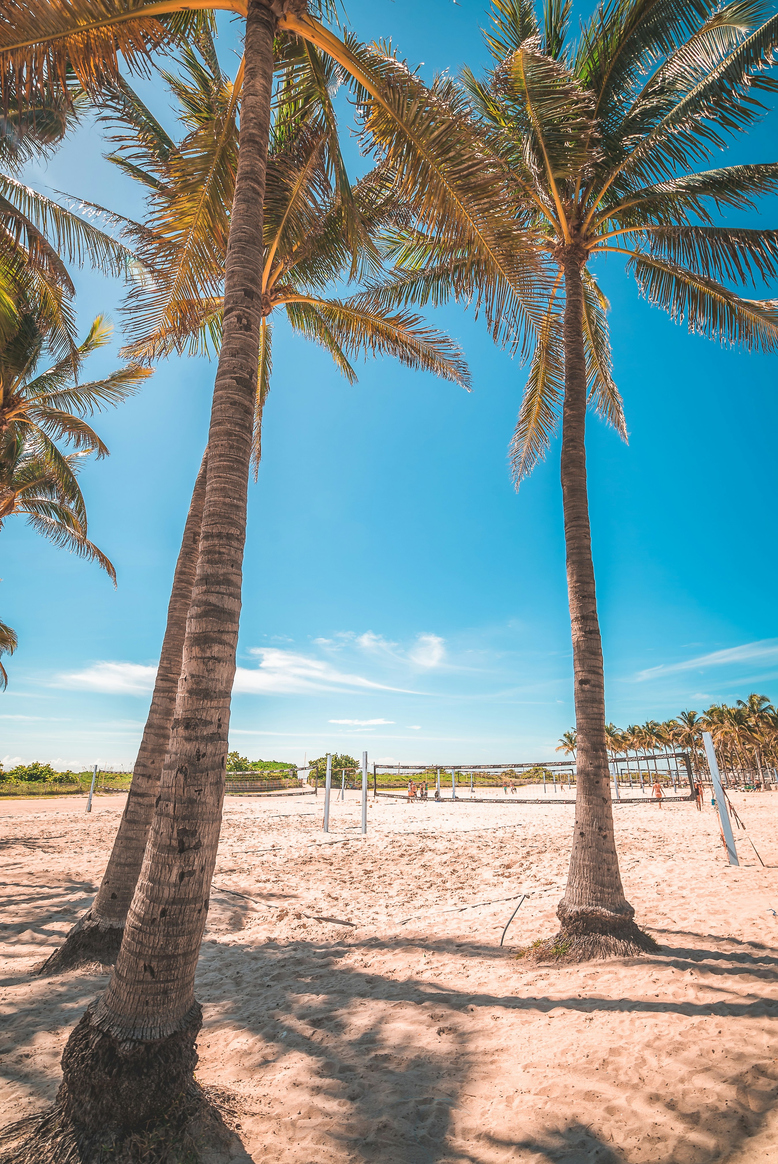 Photo by michaeljvega