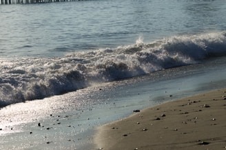 a person walking on a beach next to the ocean