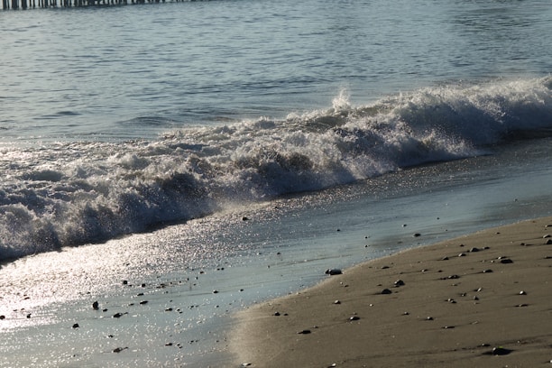 a person walking on a beach next to the ocean