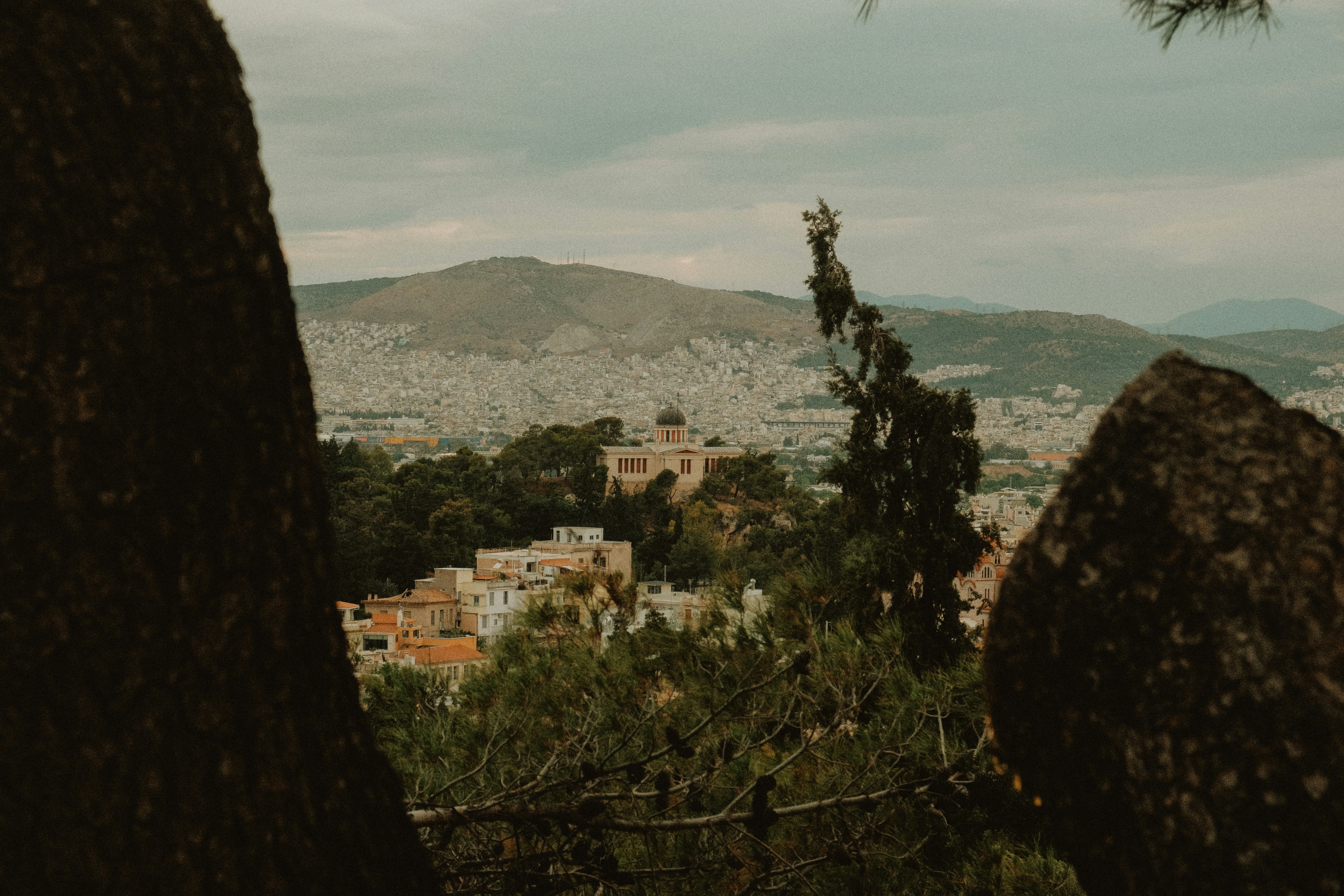 Photo by alexispresa