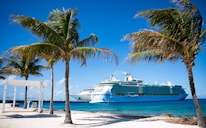 a cruise ship is docked at a tropical beach