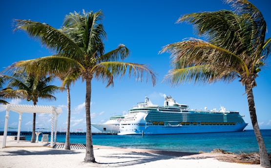 a cruise ship is docked at a tropical beach