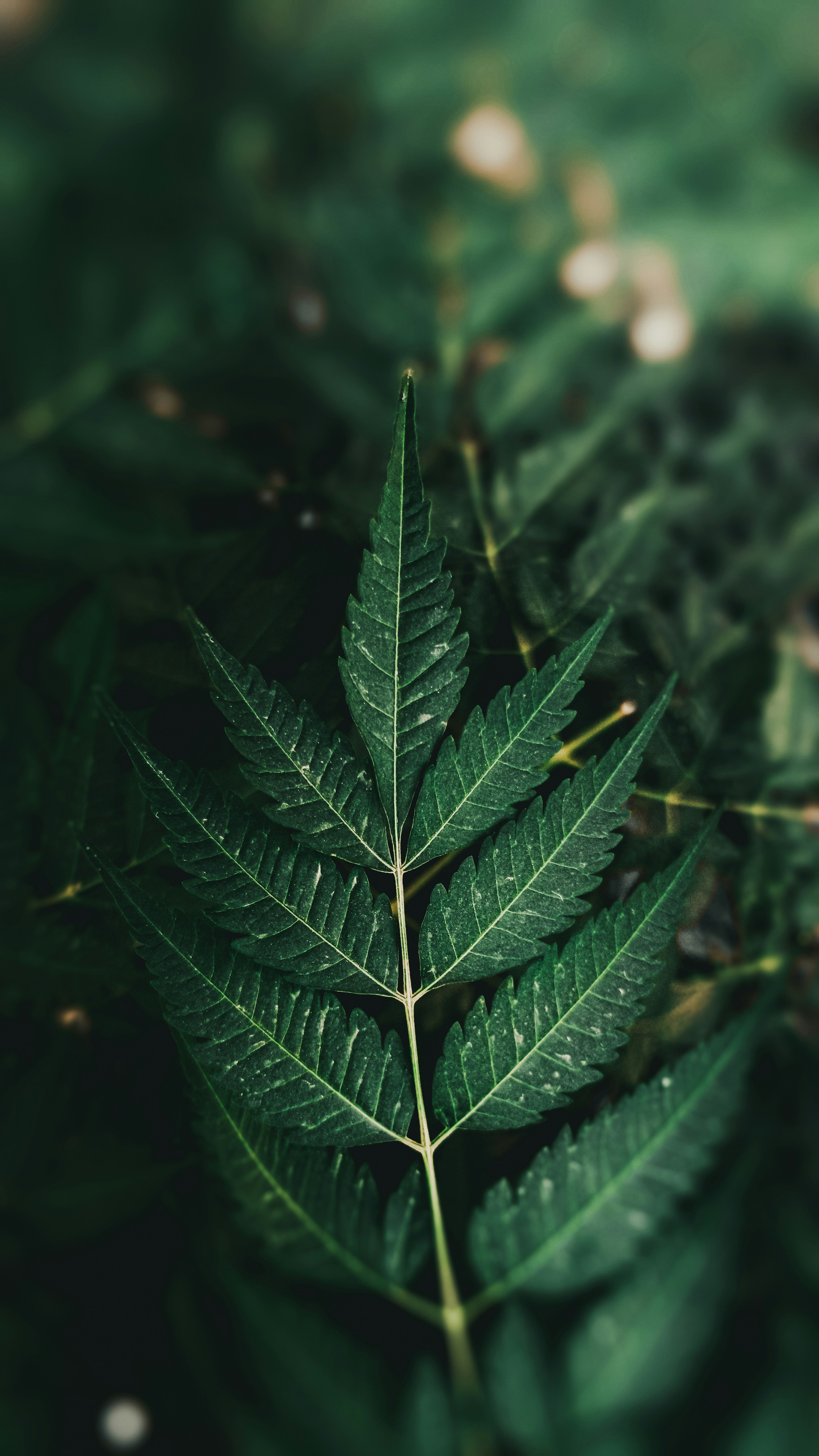 Photo by fukw0314_88