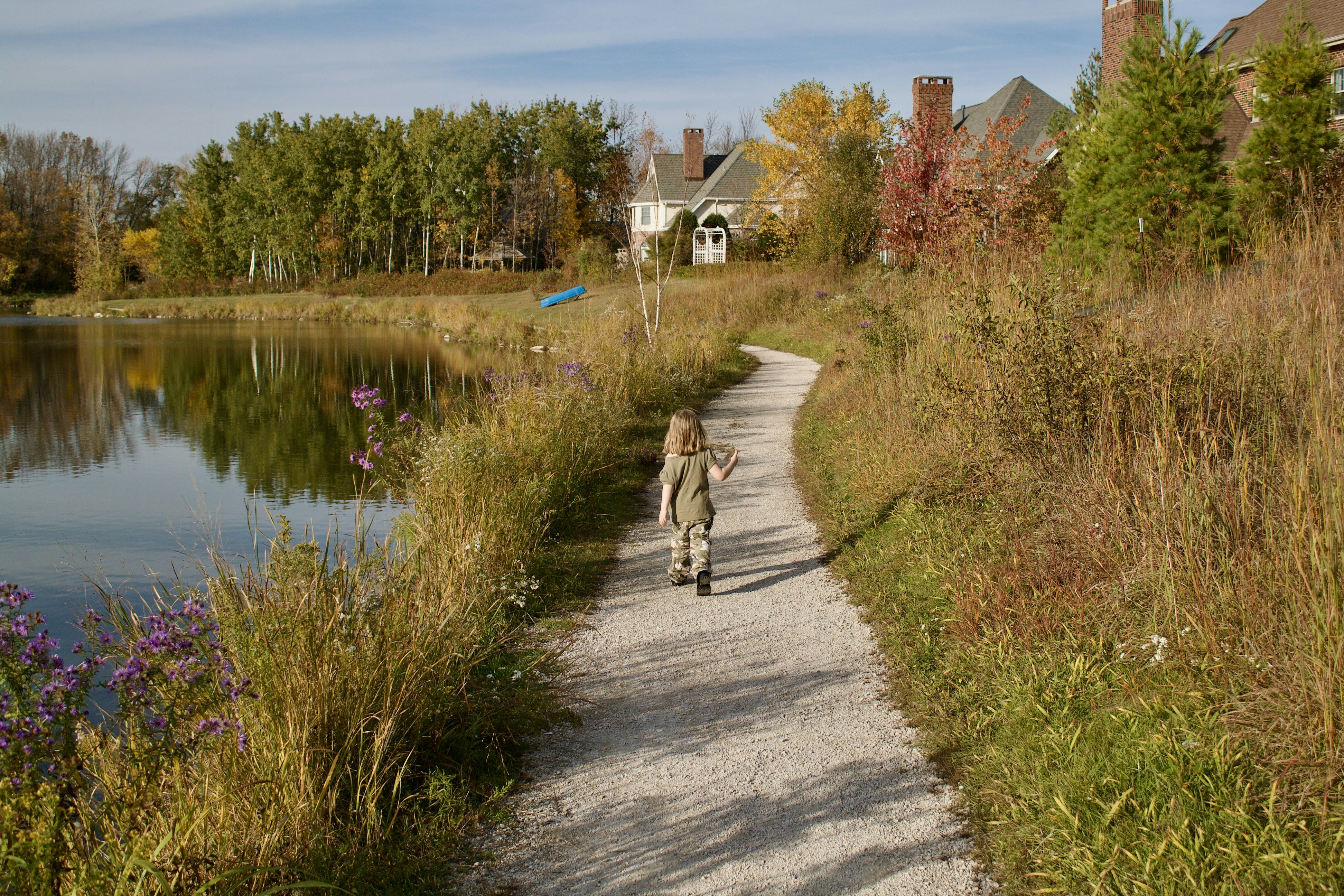Walking path around a tree-lined pond in autumn, like Jamaica Pond, Boston