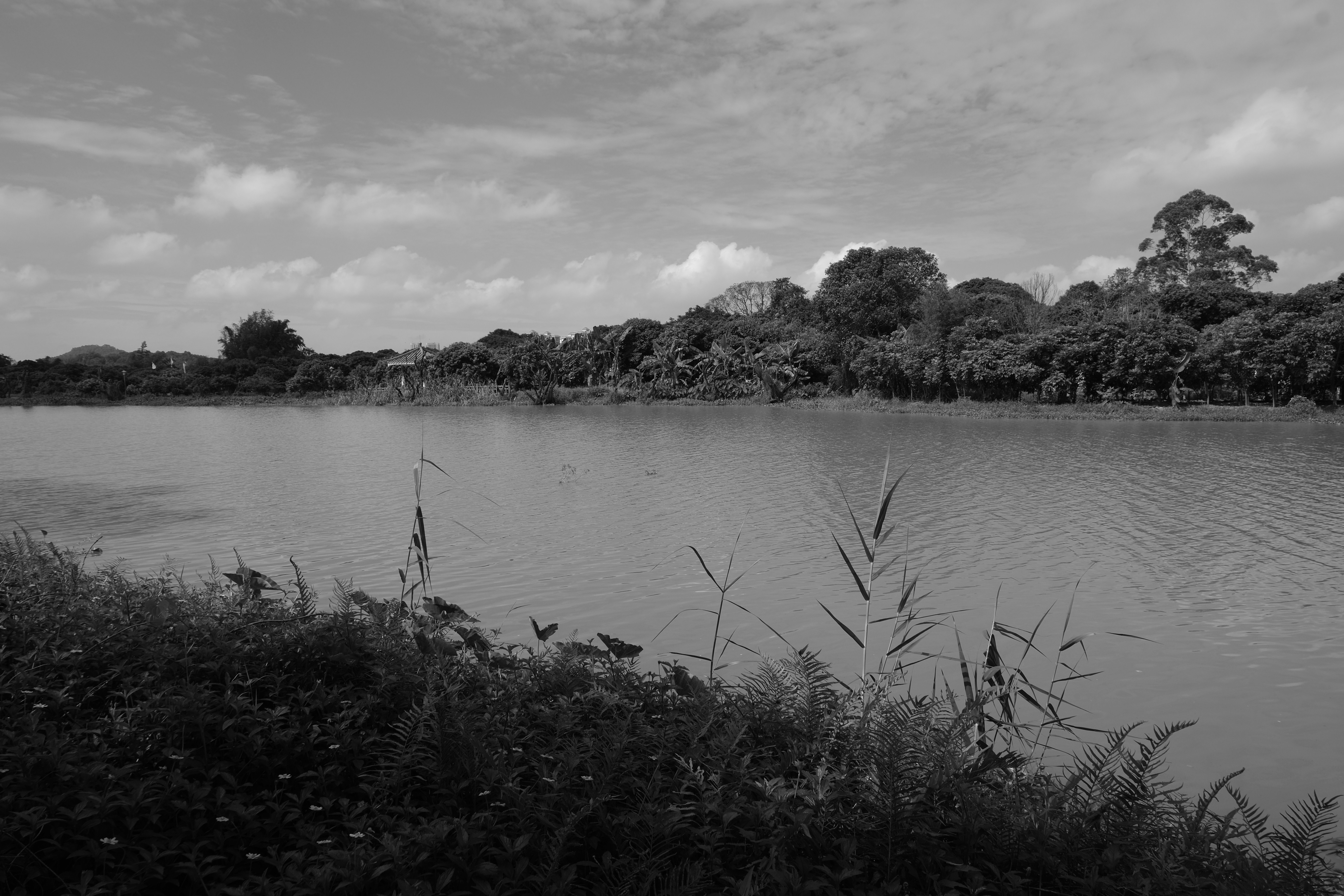 a black and white photo of a body of water