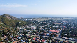 an aerial view of a small town with a mountain in the background
