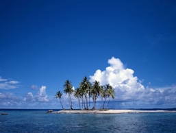 a small island with three palm trees on it