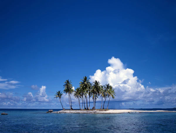A small island with palm trees