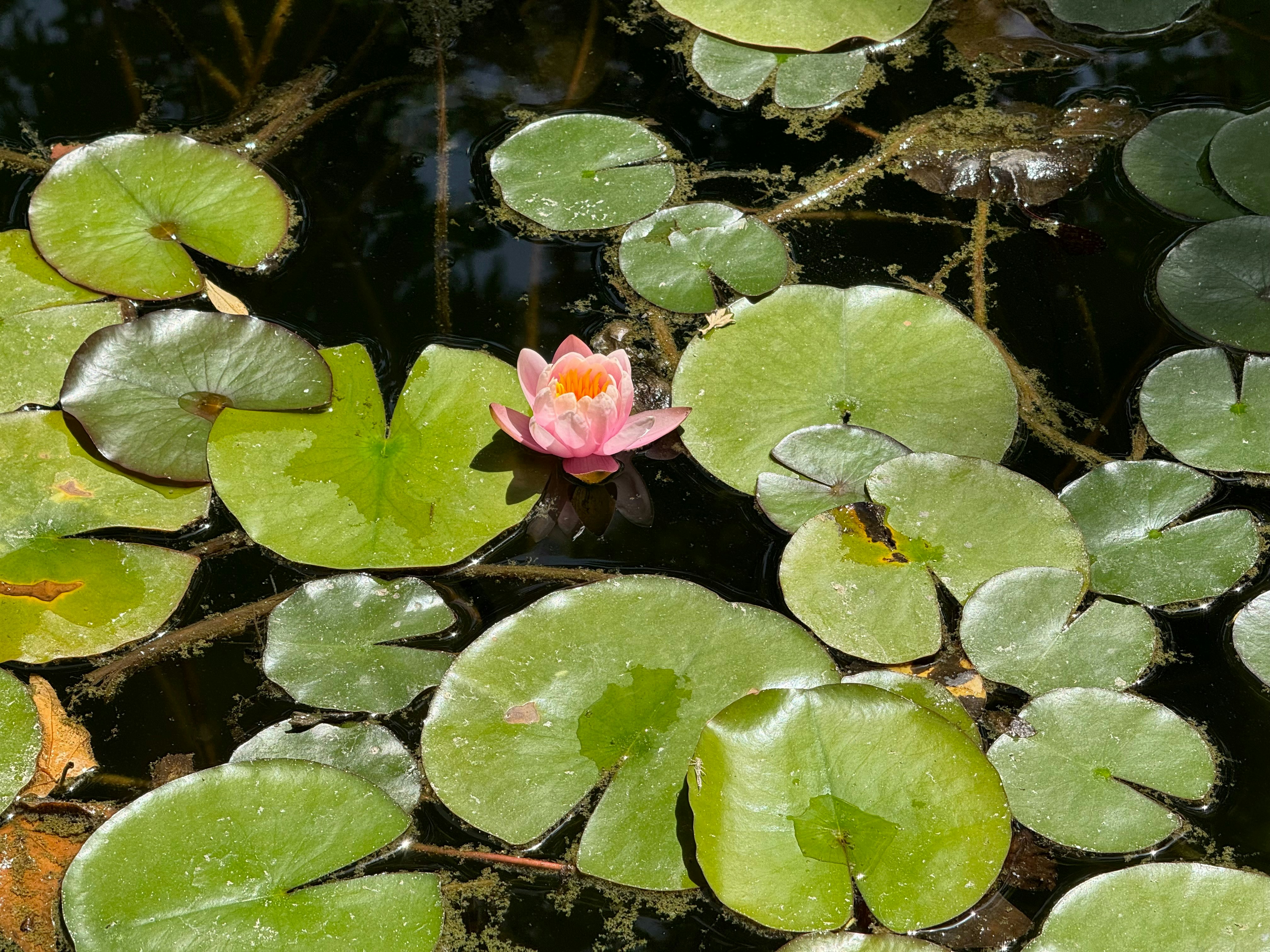 Photo by nghelichkhan