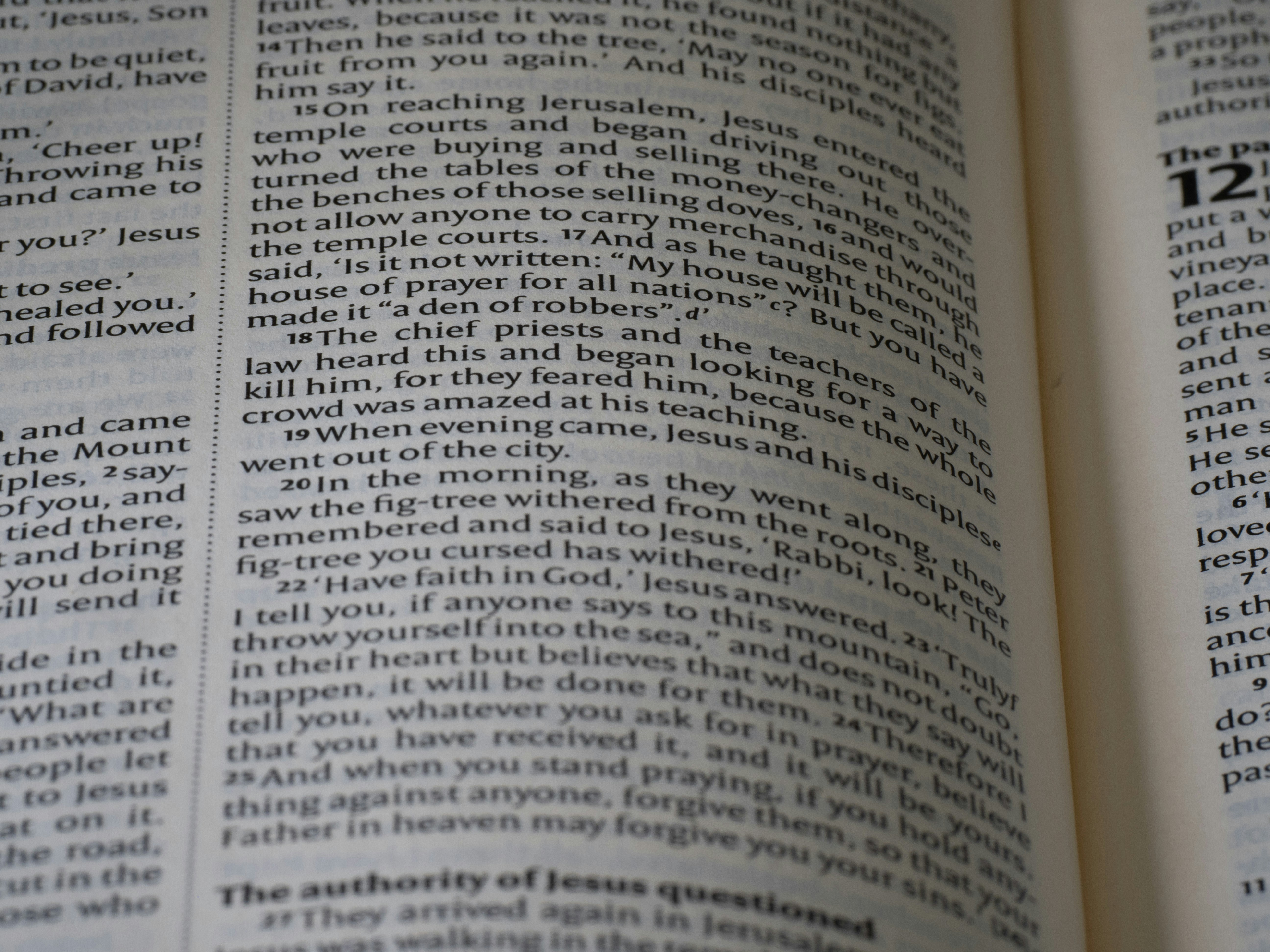 Photo by brett_jordan