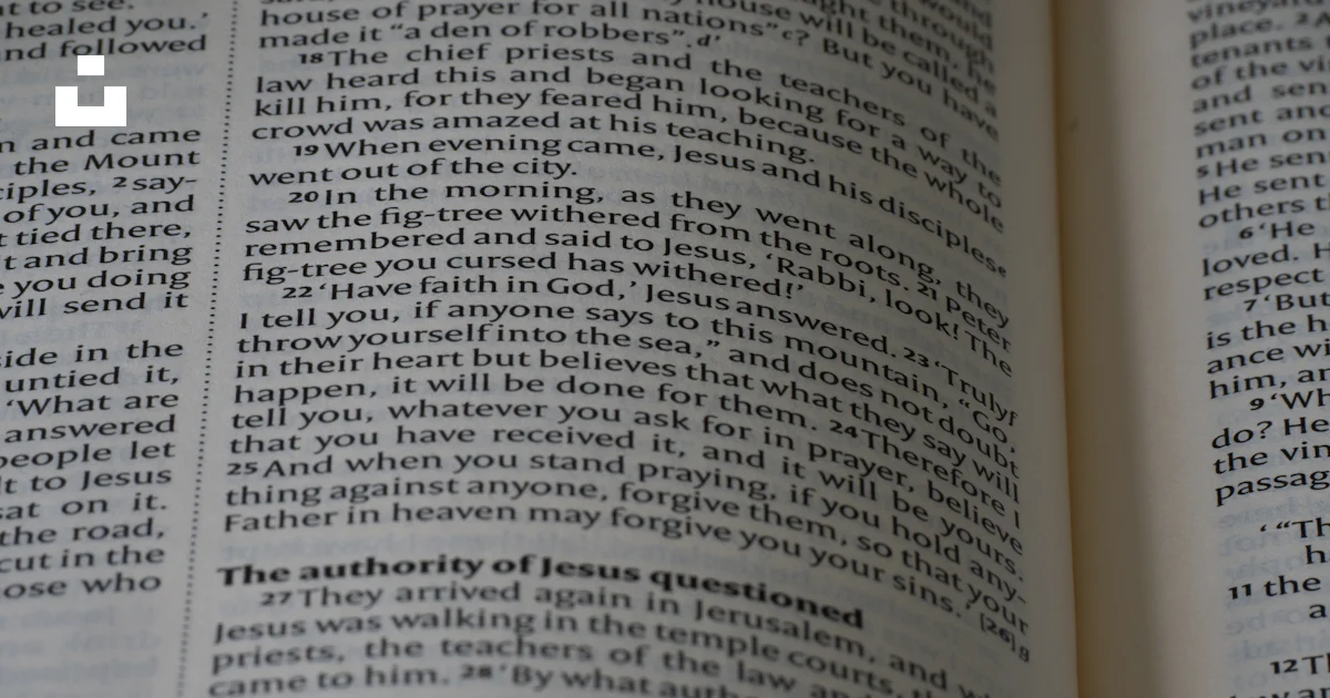Script Image Open Book A close up of an open book with text photo – Free Grey Image on Unsplash