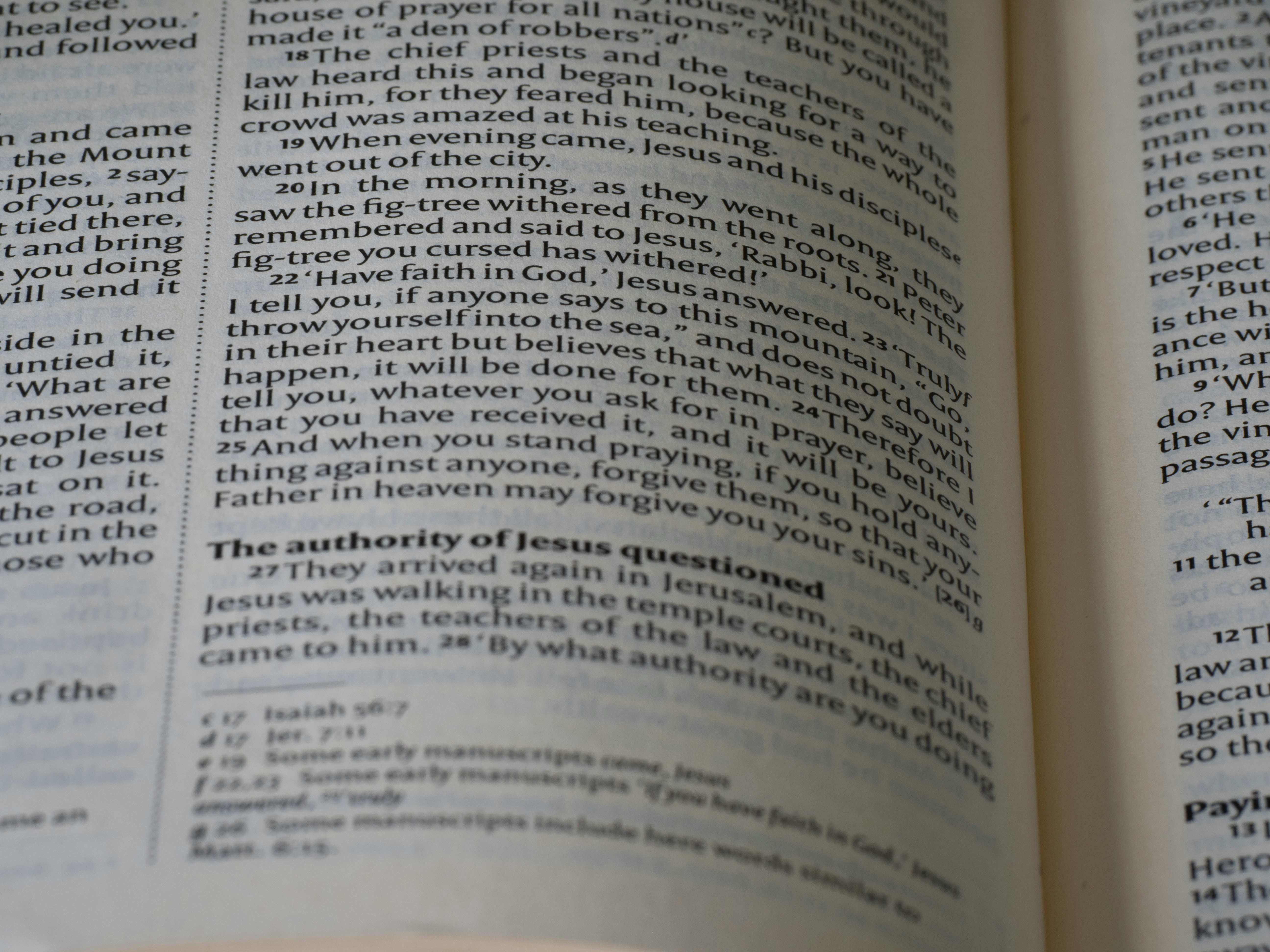 close up, bokeh, bible, new testament, christian, history, text, reading, bible study, devotions, christianity, scripture, Gospel of Mark, Mark, Synoptic Gospel, Gospel,