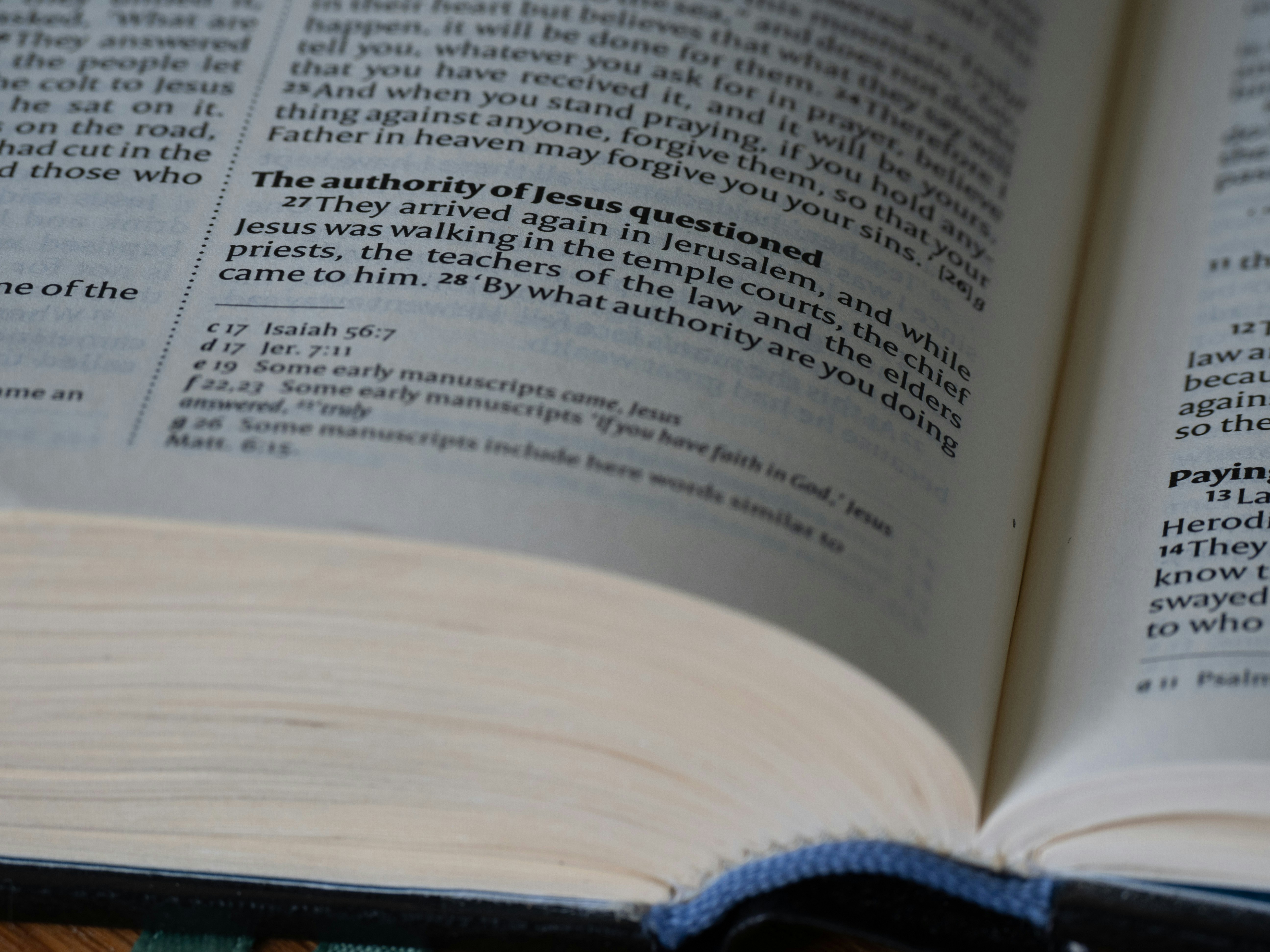 Photo by brett_jordan