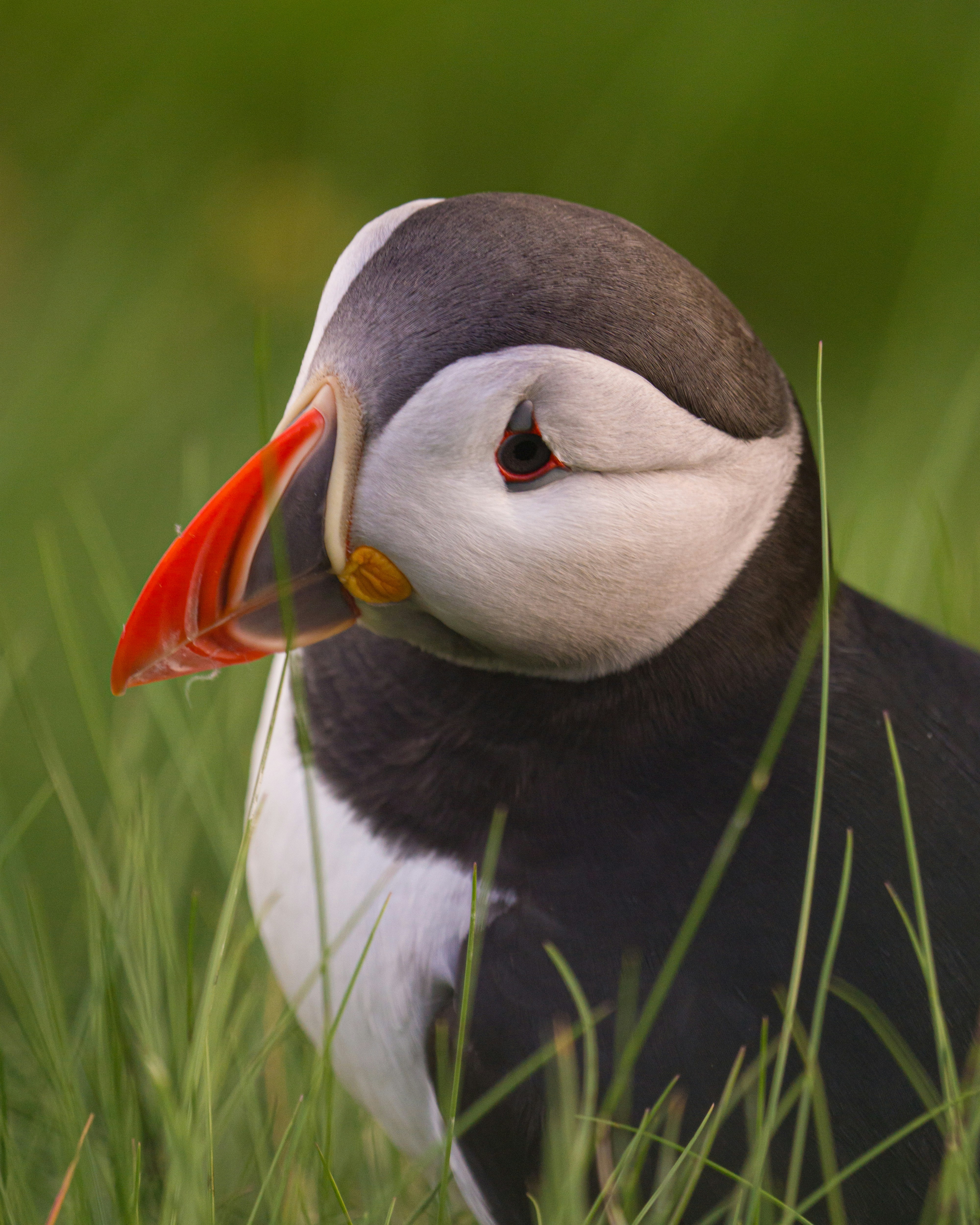 Photo by damalswarallesbesser