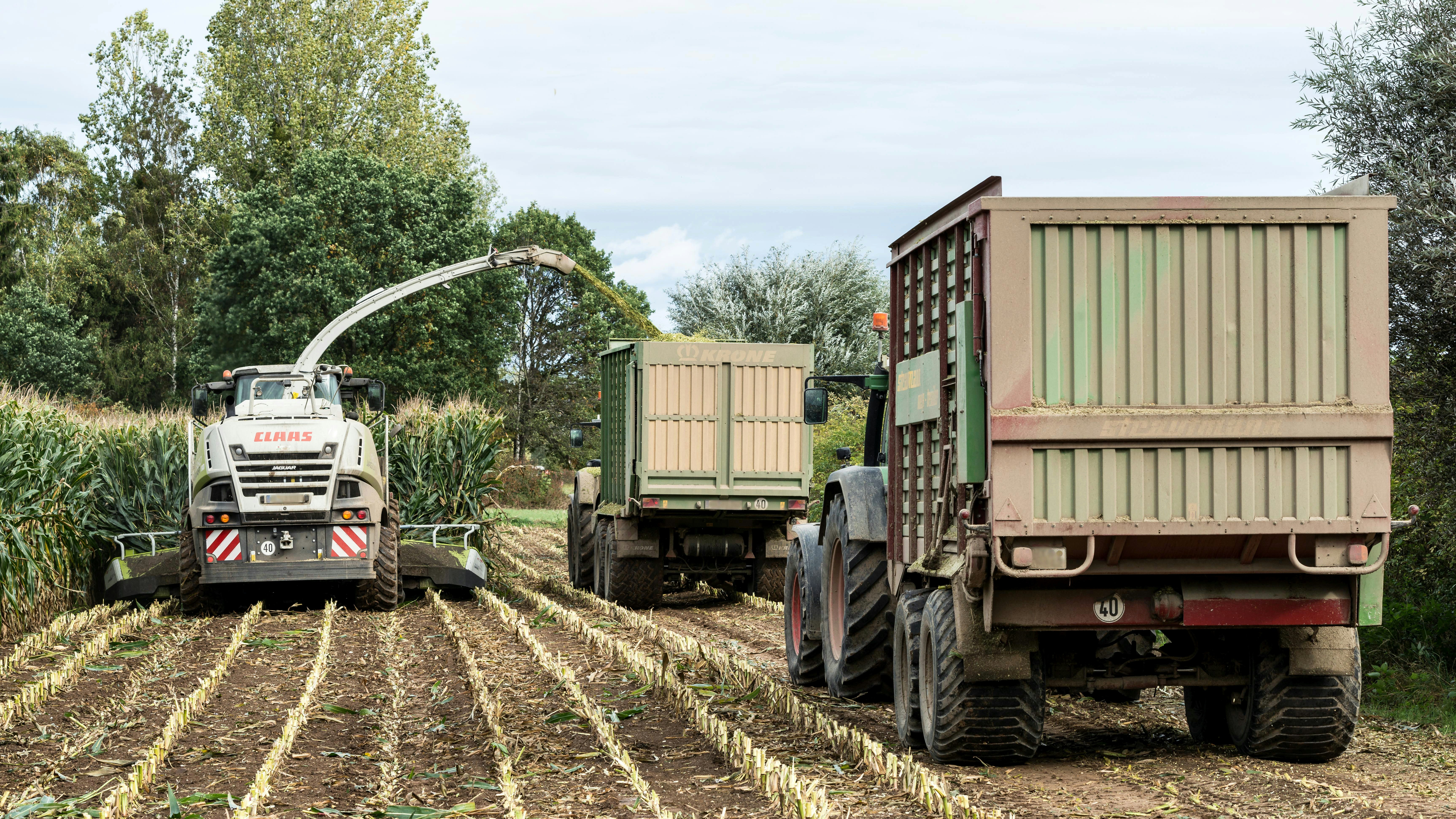 Supply Chain Modernization