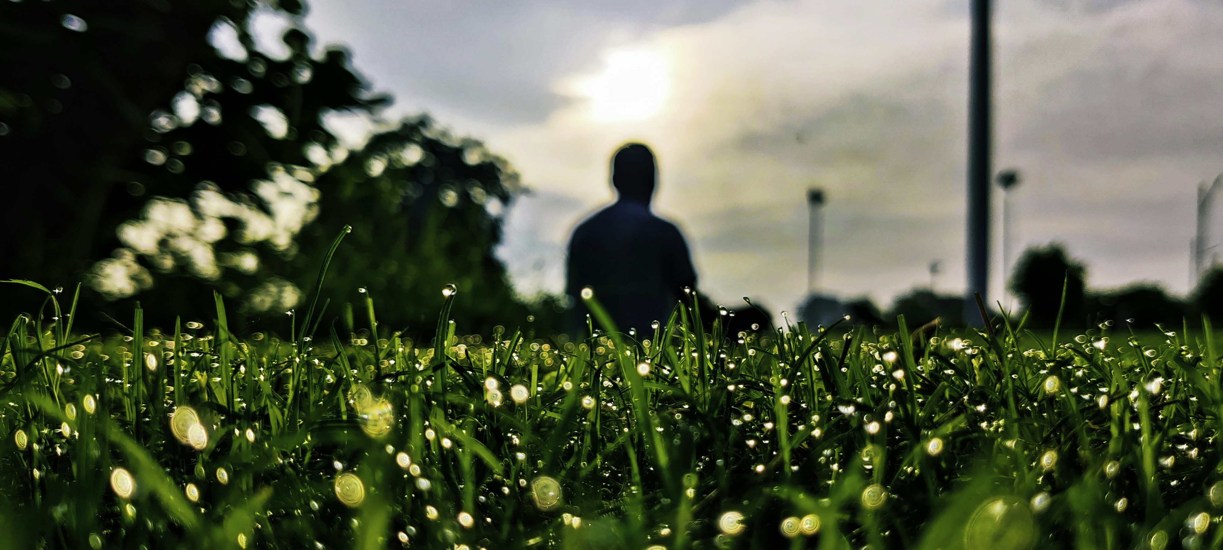 Man in field at sunrise