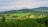 a lush green valley surrounded by lush green trees