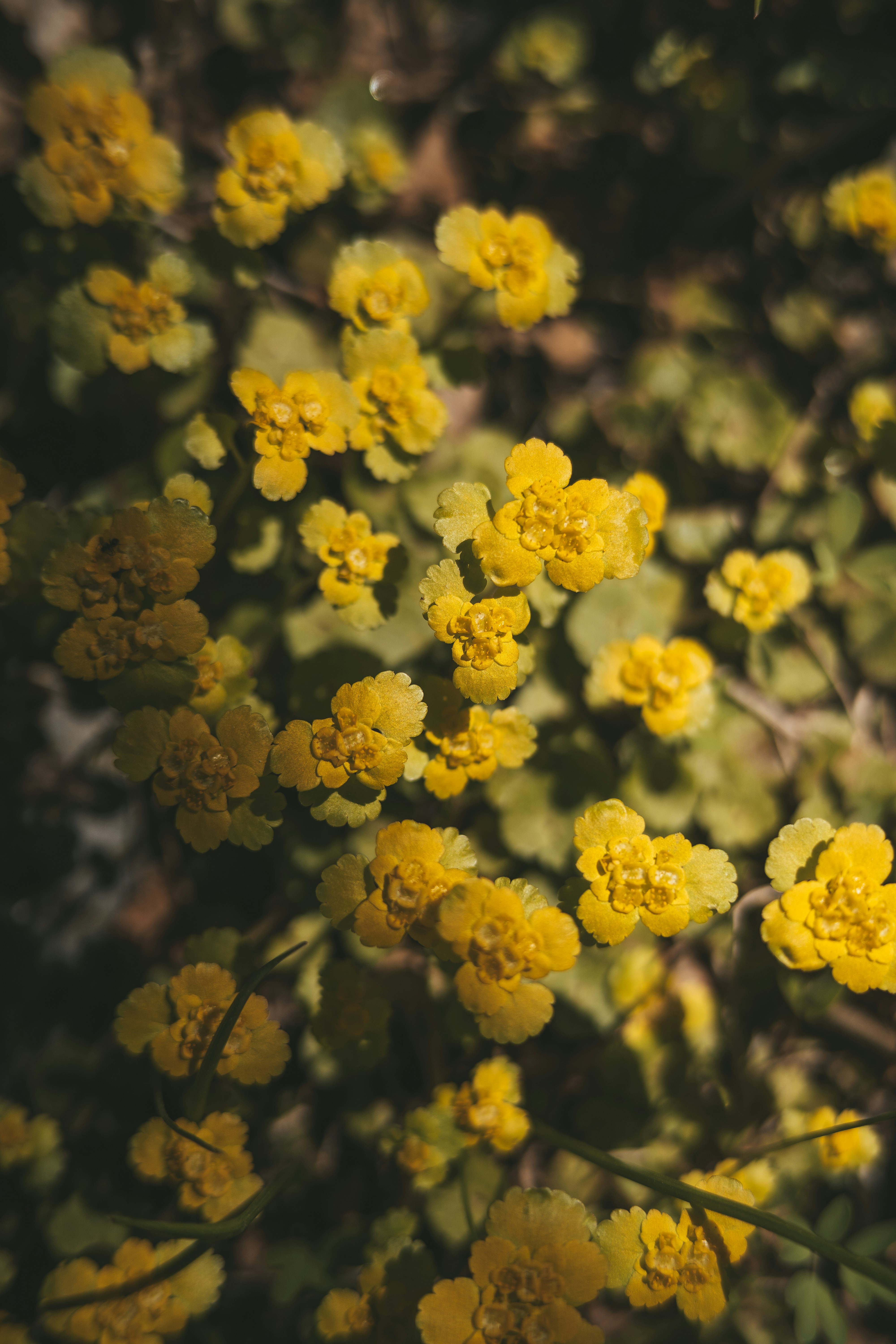 Photo by anamnesis33