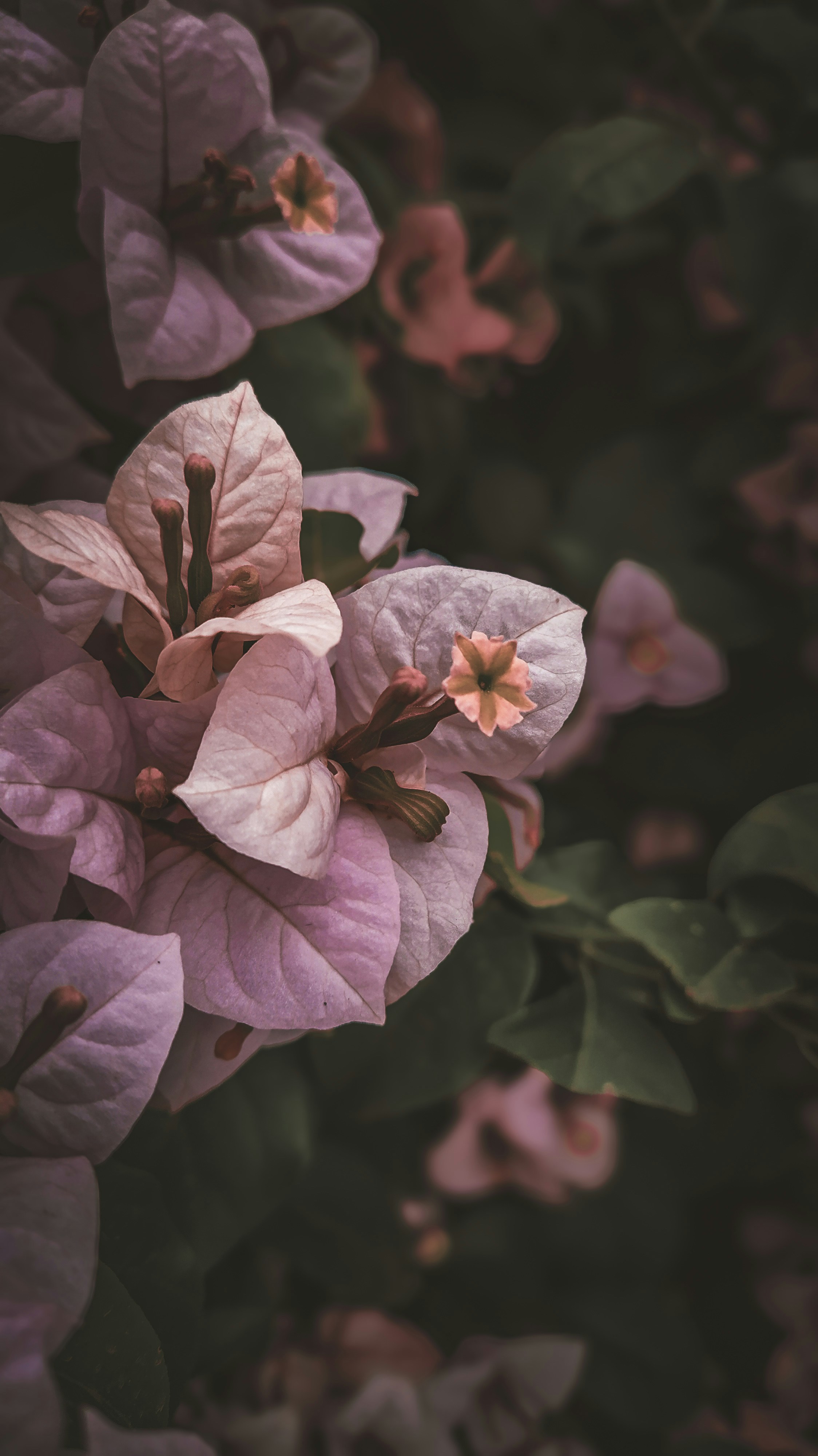 Photo by theclickfilms