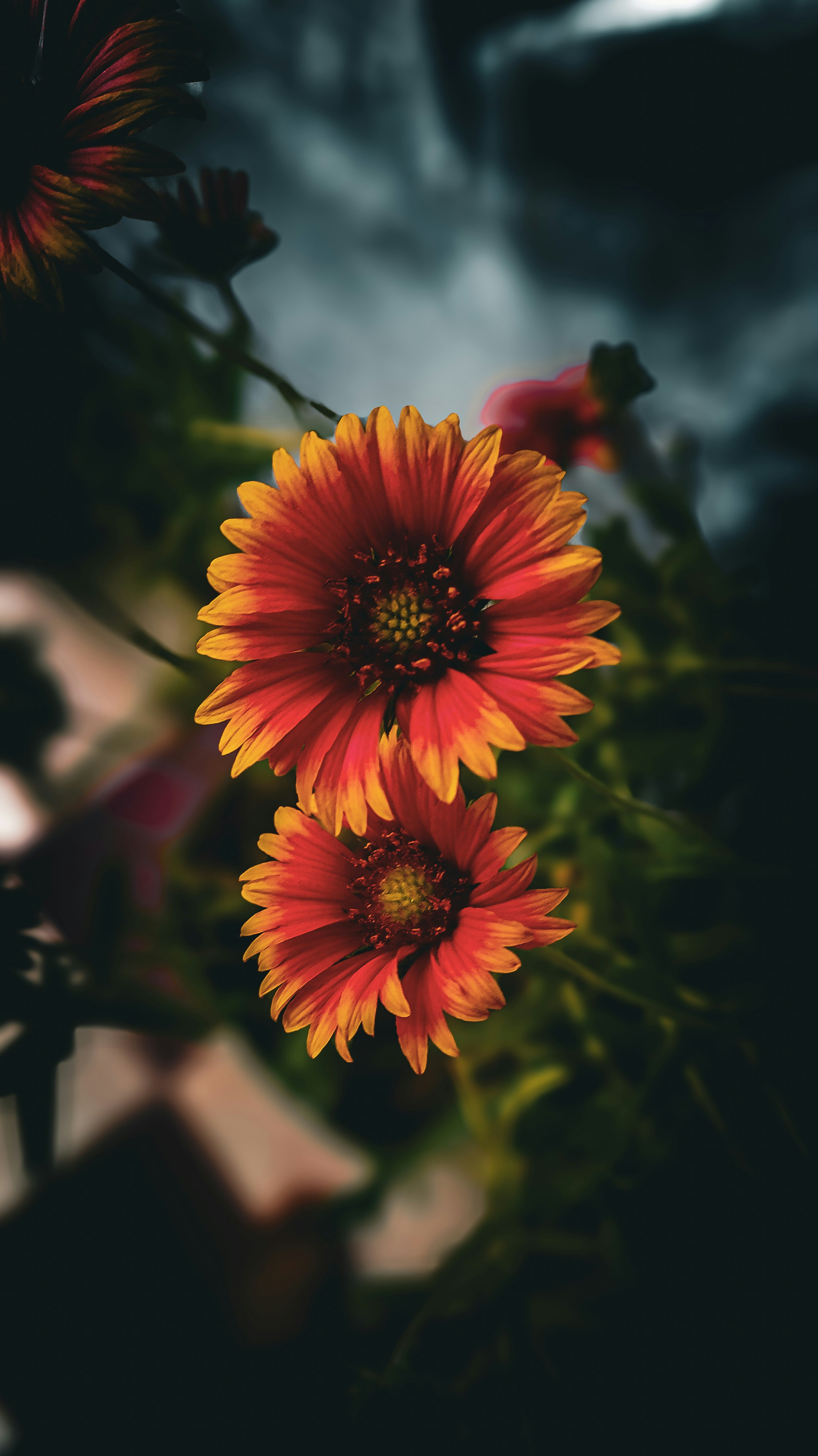 Photo by theclickfilms