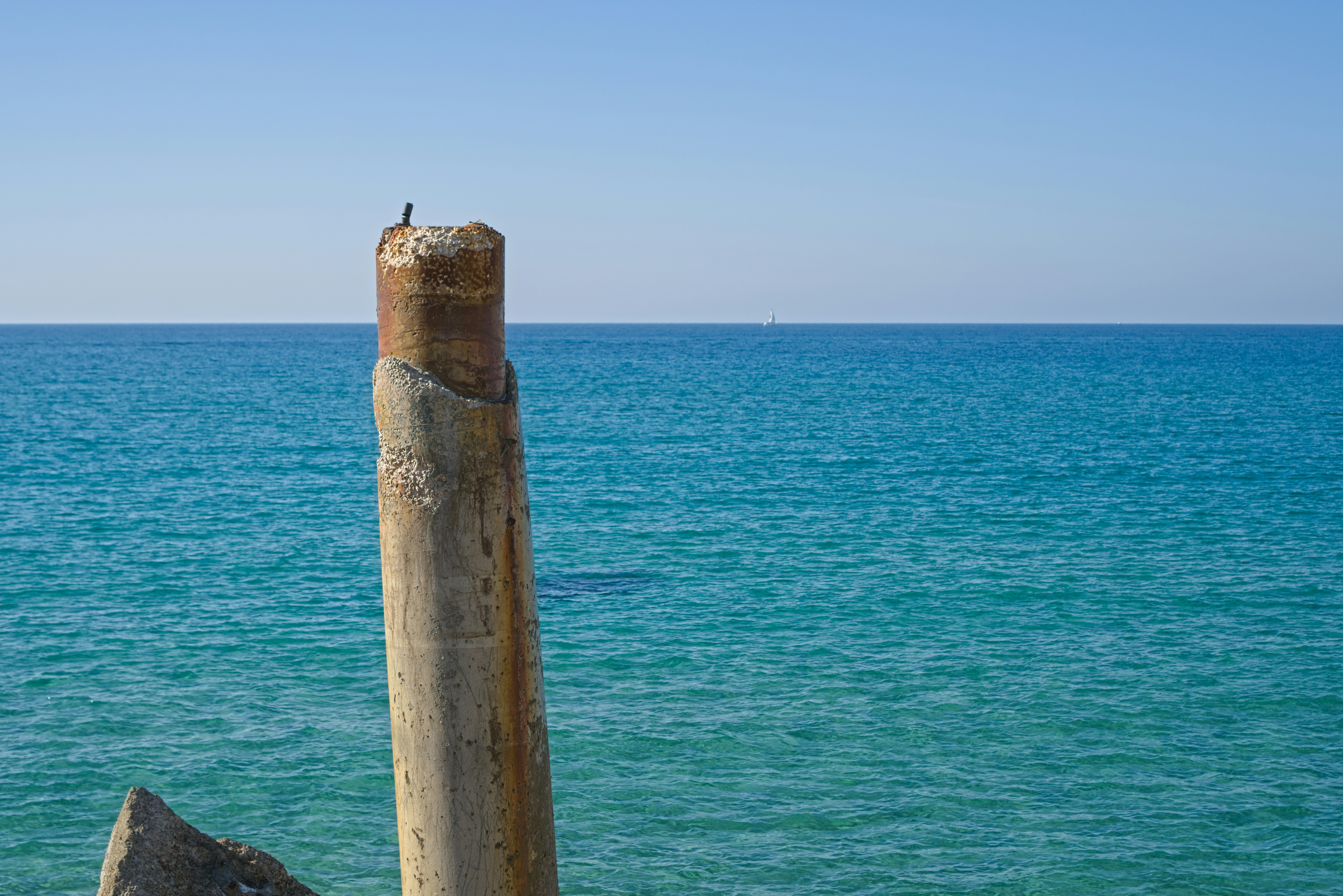 a bird perched on a wooden post in front of the ocean