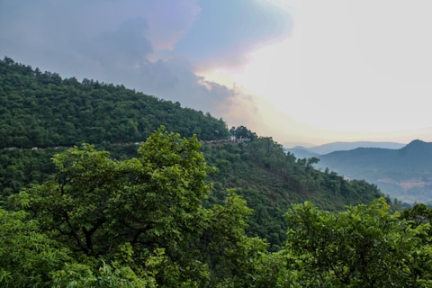 a view of a mountain with trees and a train on the tracks
