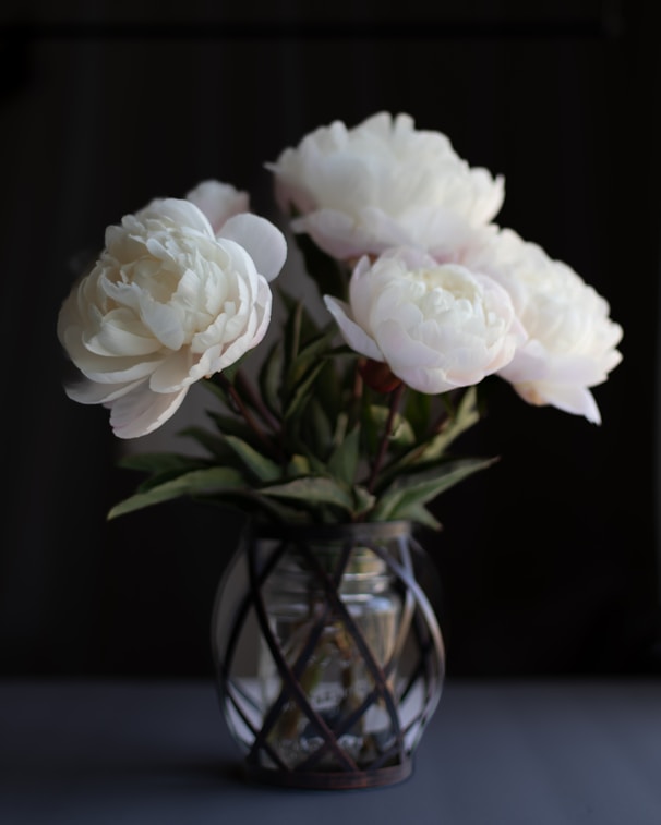 a vase filled with white flowers on top of a table